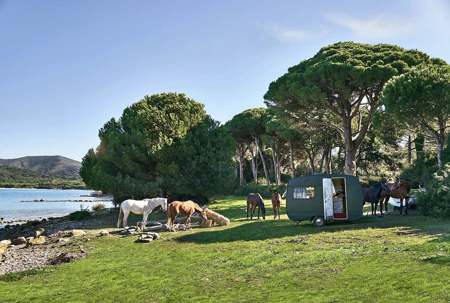 caravan•casa vogue