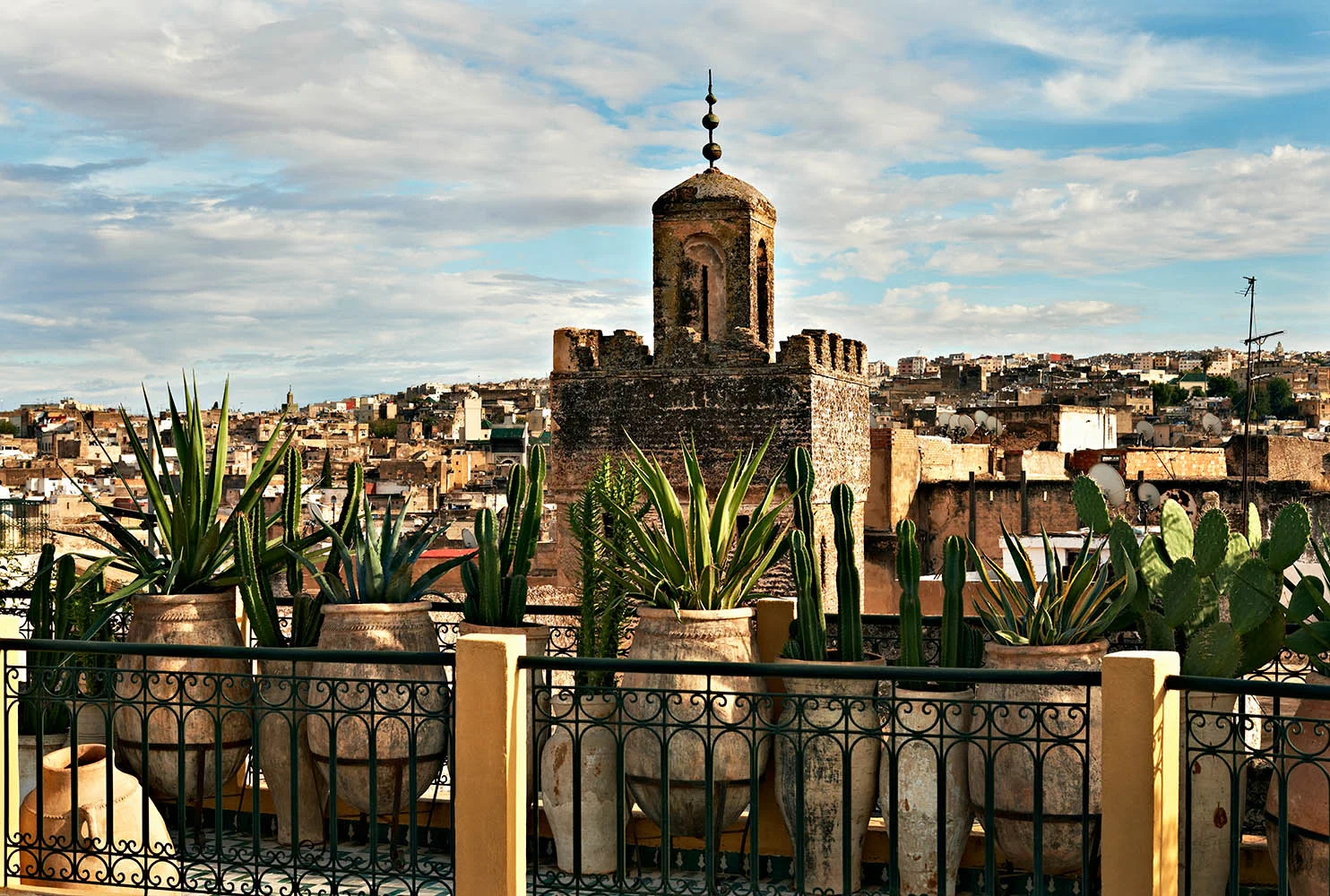 fez rooftop•morocco