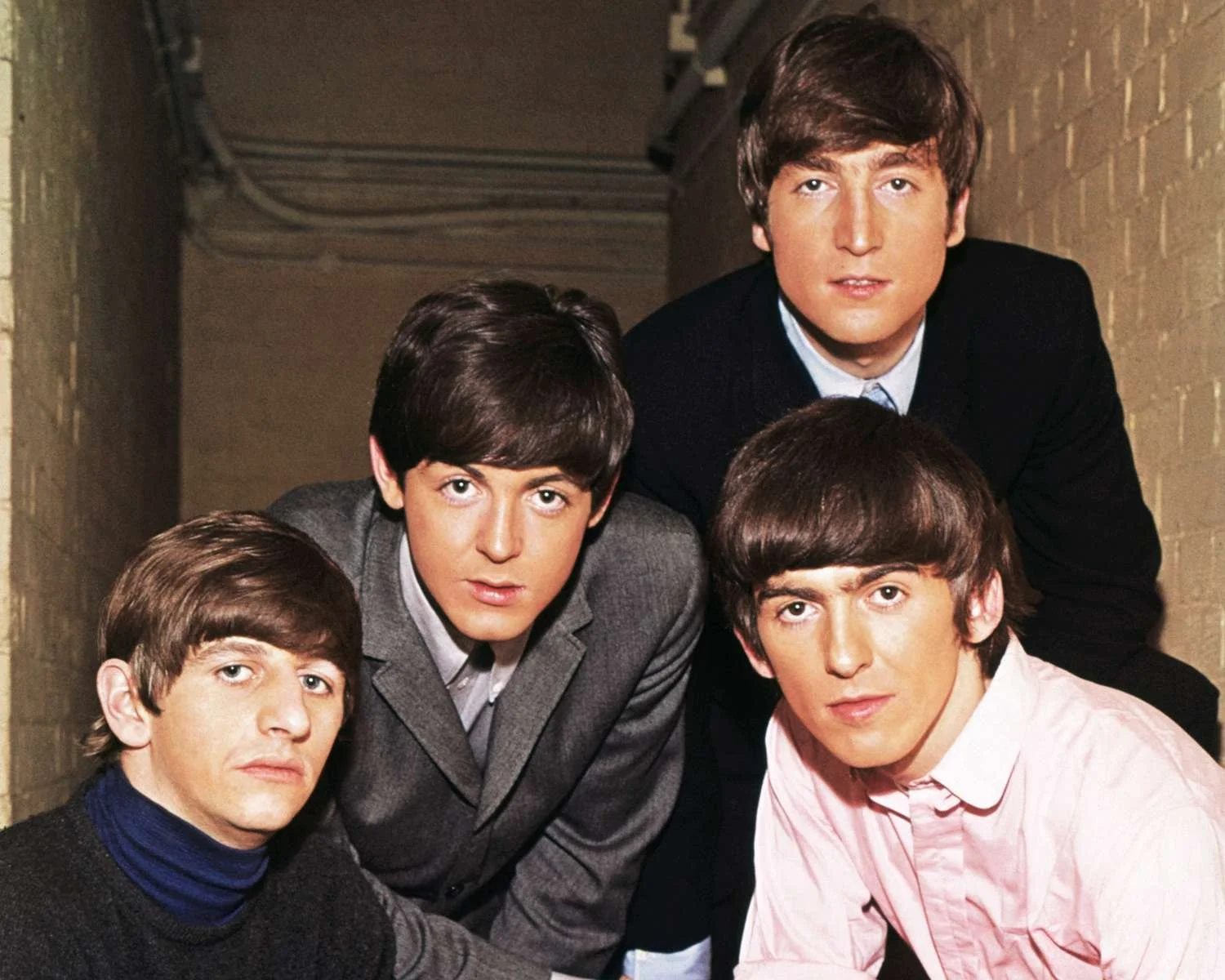the-beetles-1-1a971bd703a849268568fcf20bee9fe1.jpg