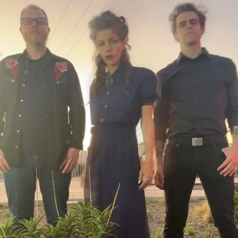 Pleased To Meet Me: Black Market Heart