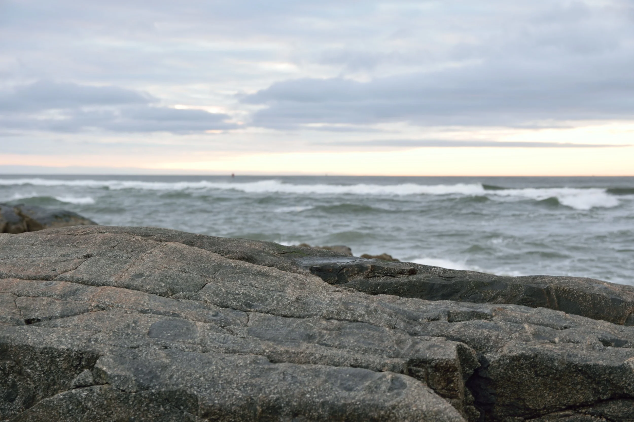 DSC_3924.JPG