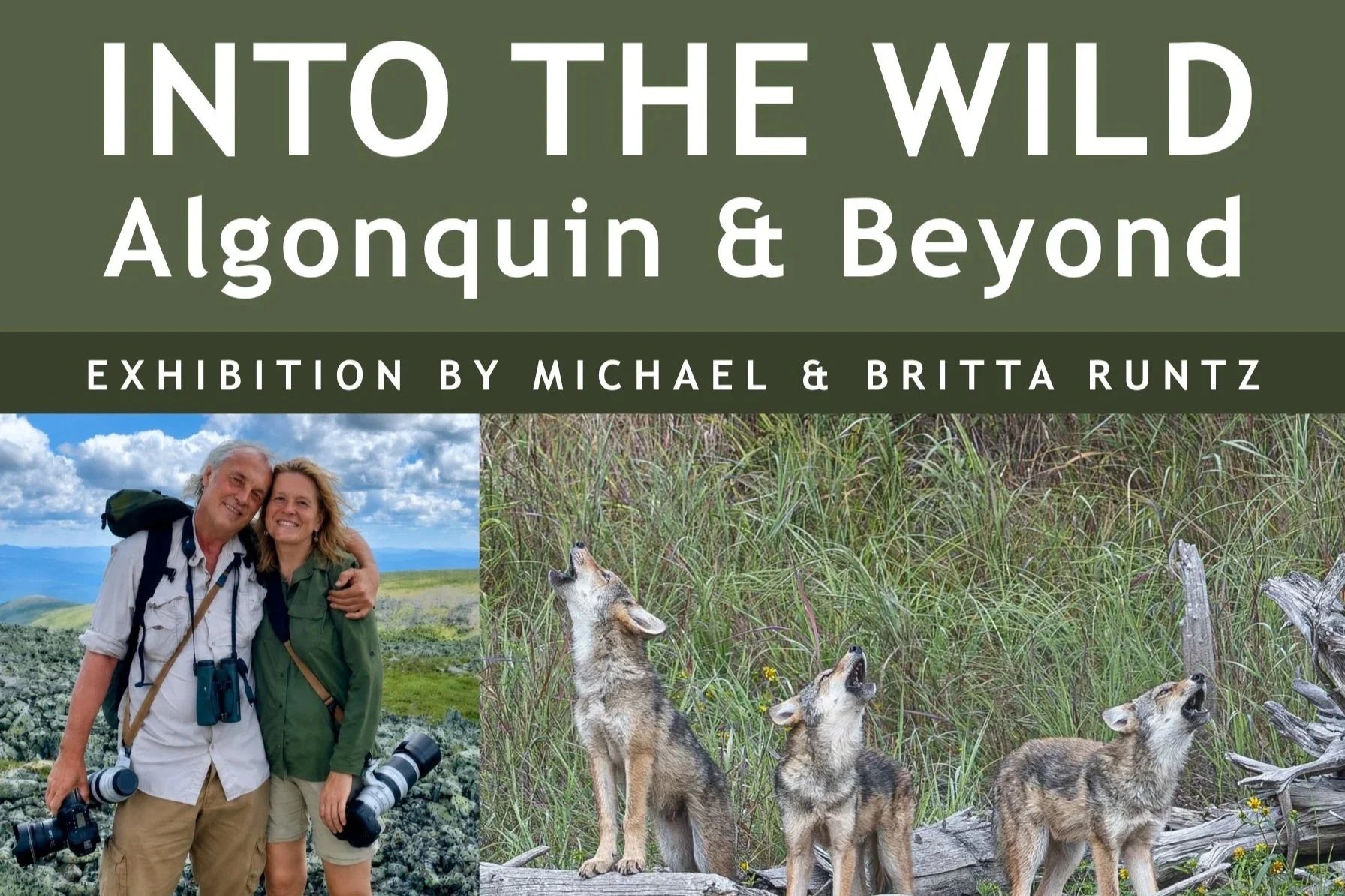 INTO THE WILD - Algonquin &amp; Beyond Exhibition by Michael &amp; Britta Runtz