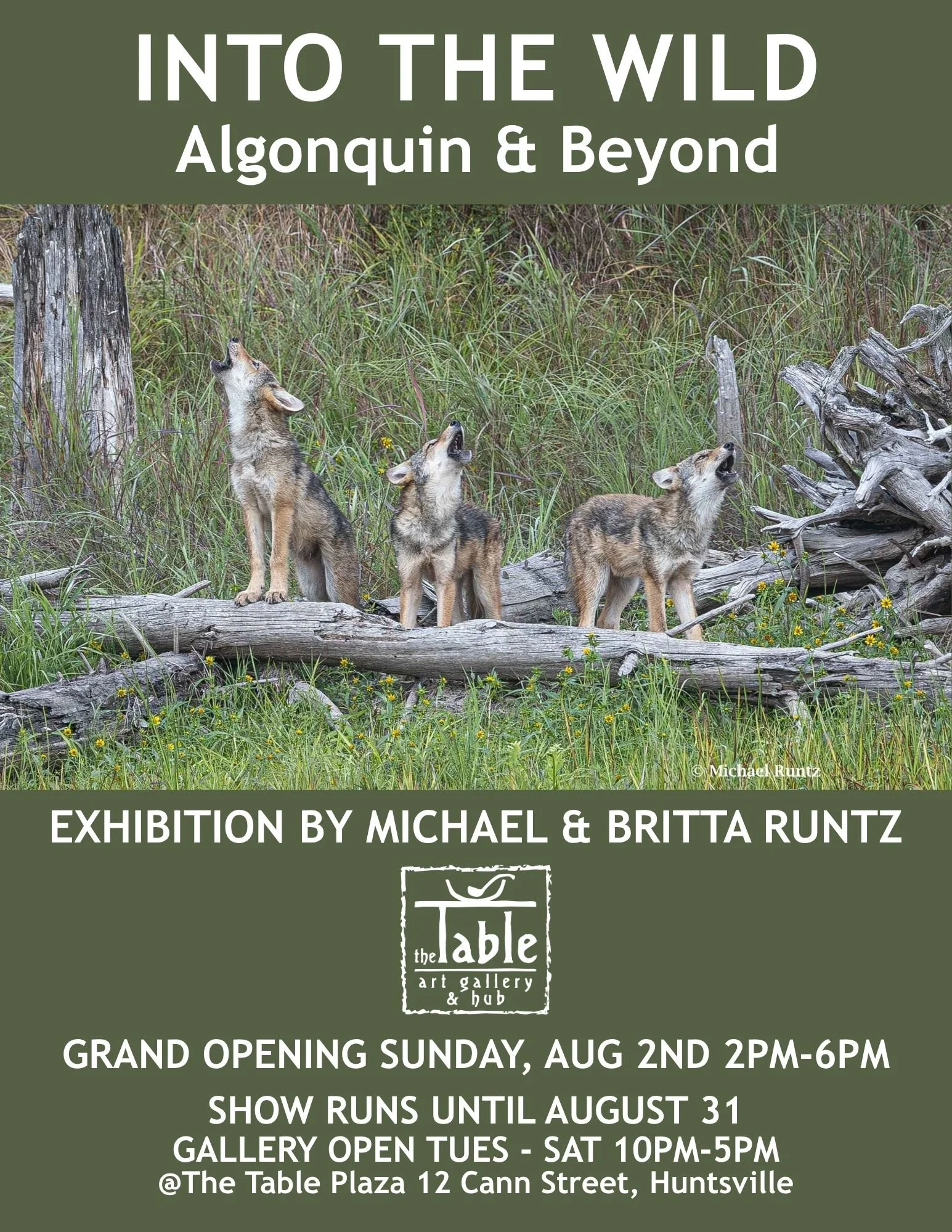 INTO THE WILD - Algonquin & Beyond Exhibition by Michael & Britta Runtz