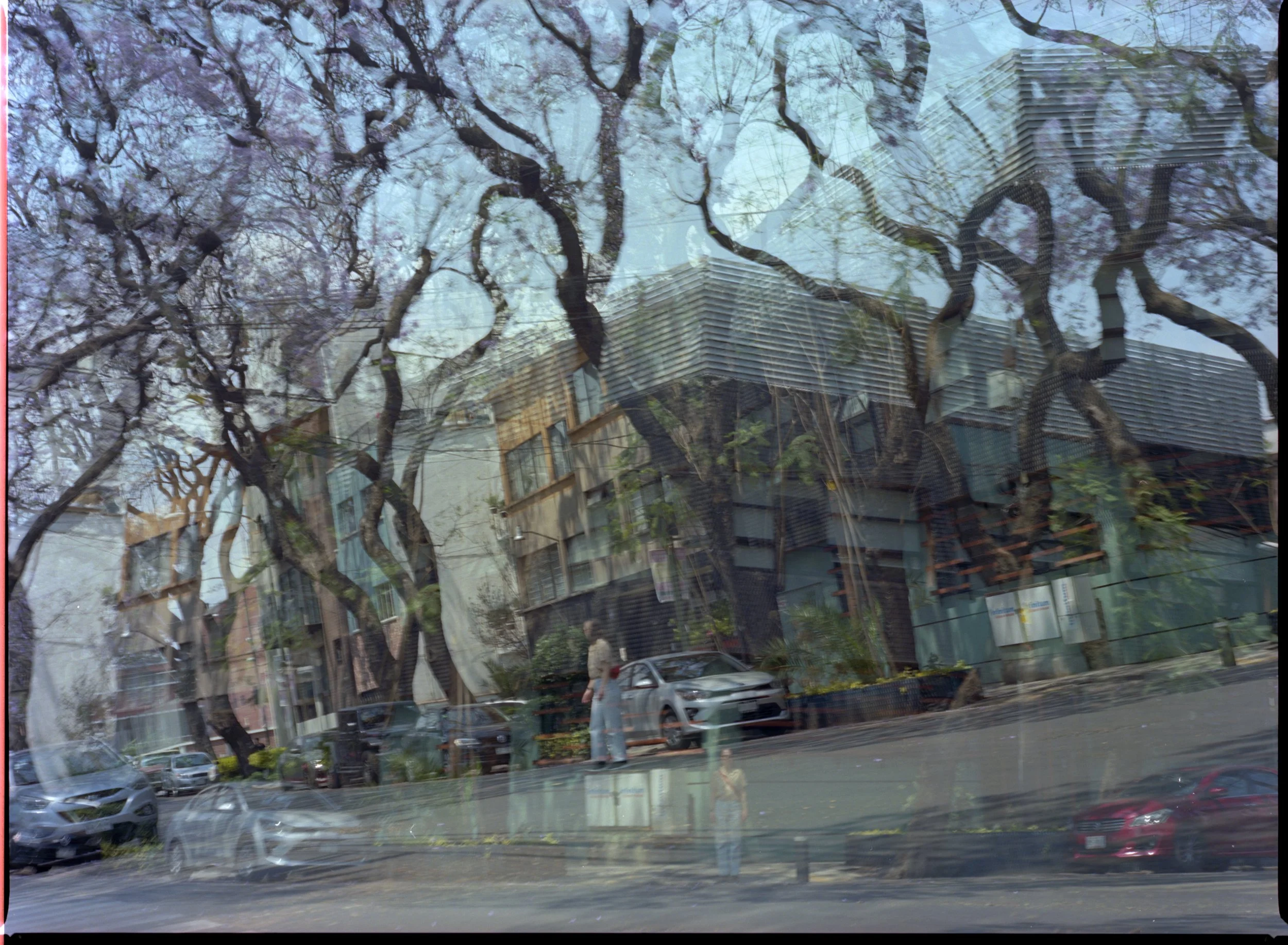 cdmx_004.jpg