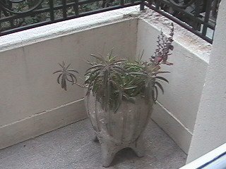 PANA0004.JPG
