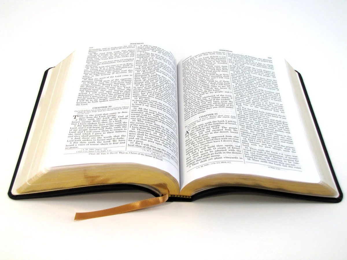 Bible Nuggets - Overview