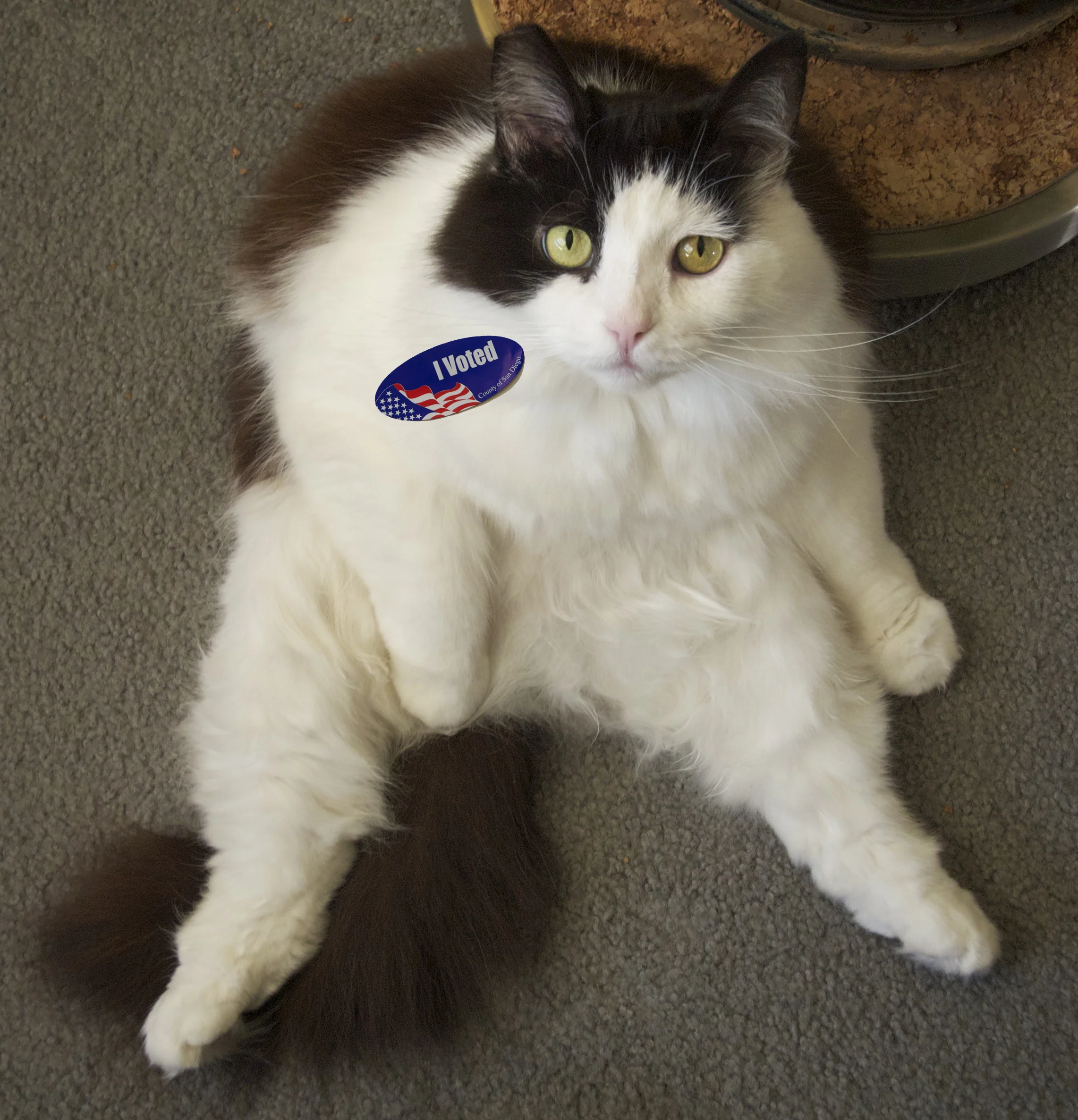 Vote!