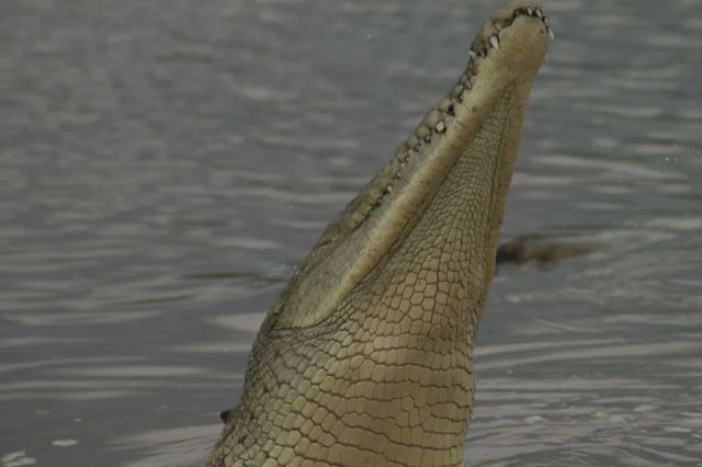 more costa rica [2013]