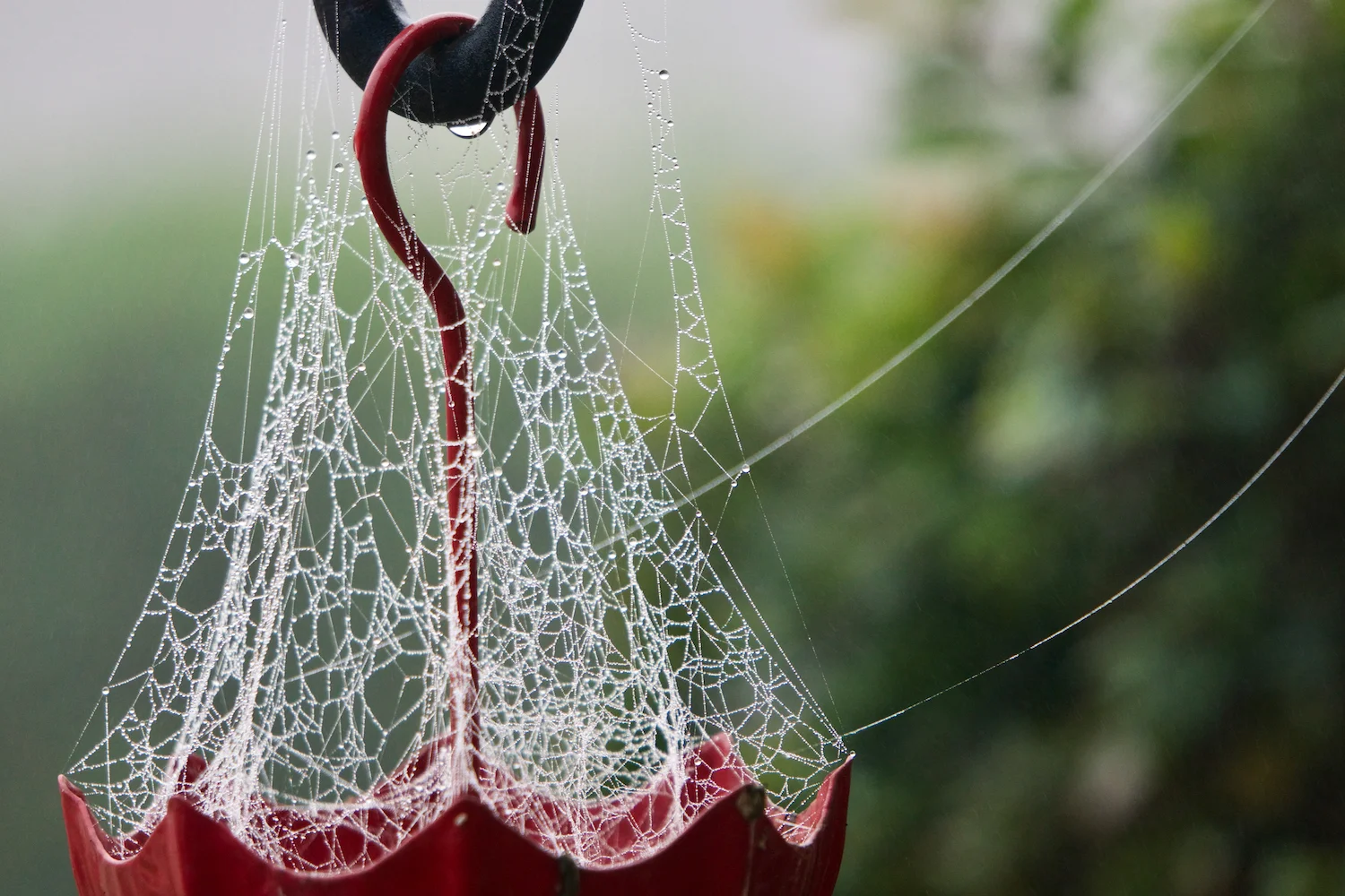 Artist Alliance at the Museum 2017