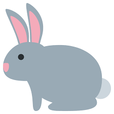 rabbit.png