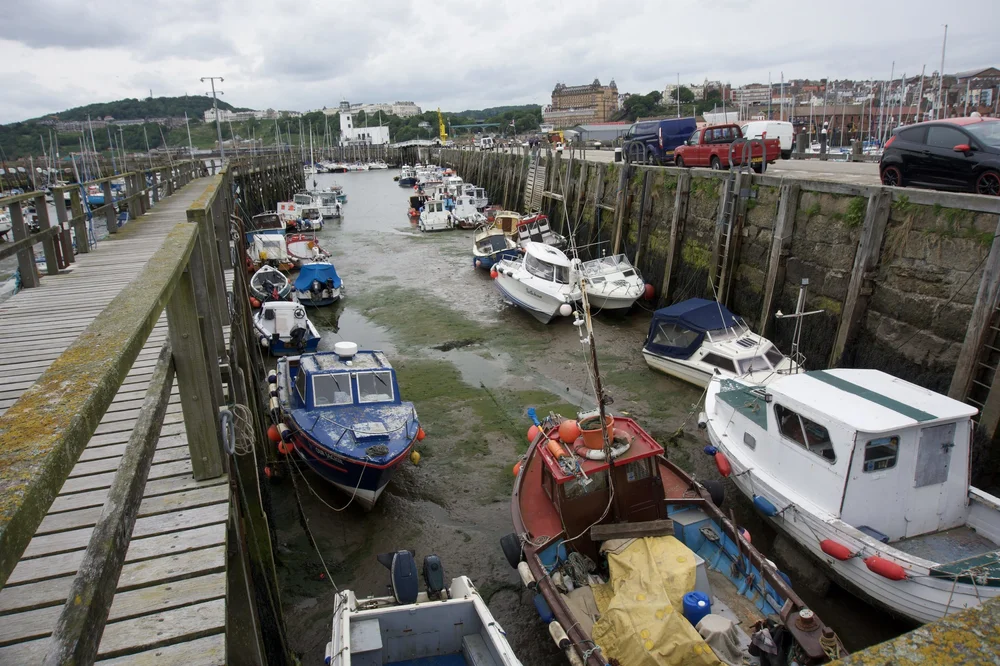 Low tide in South Bay