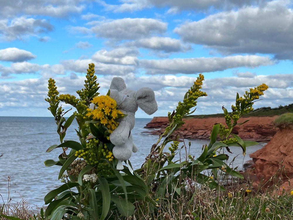 Hanging at Cavendish Beach