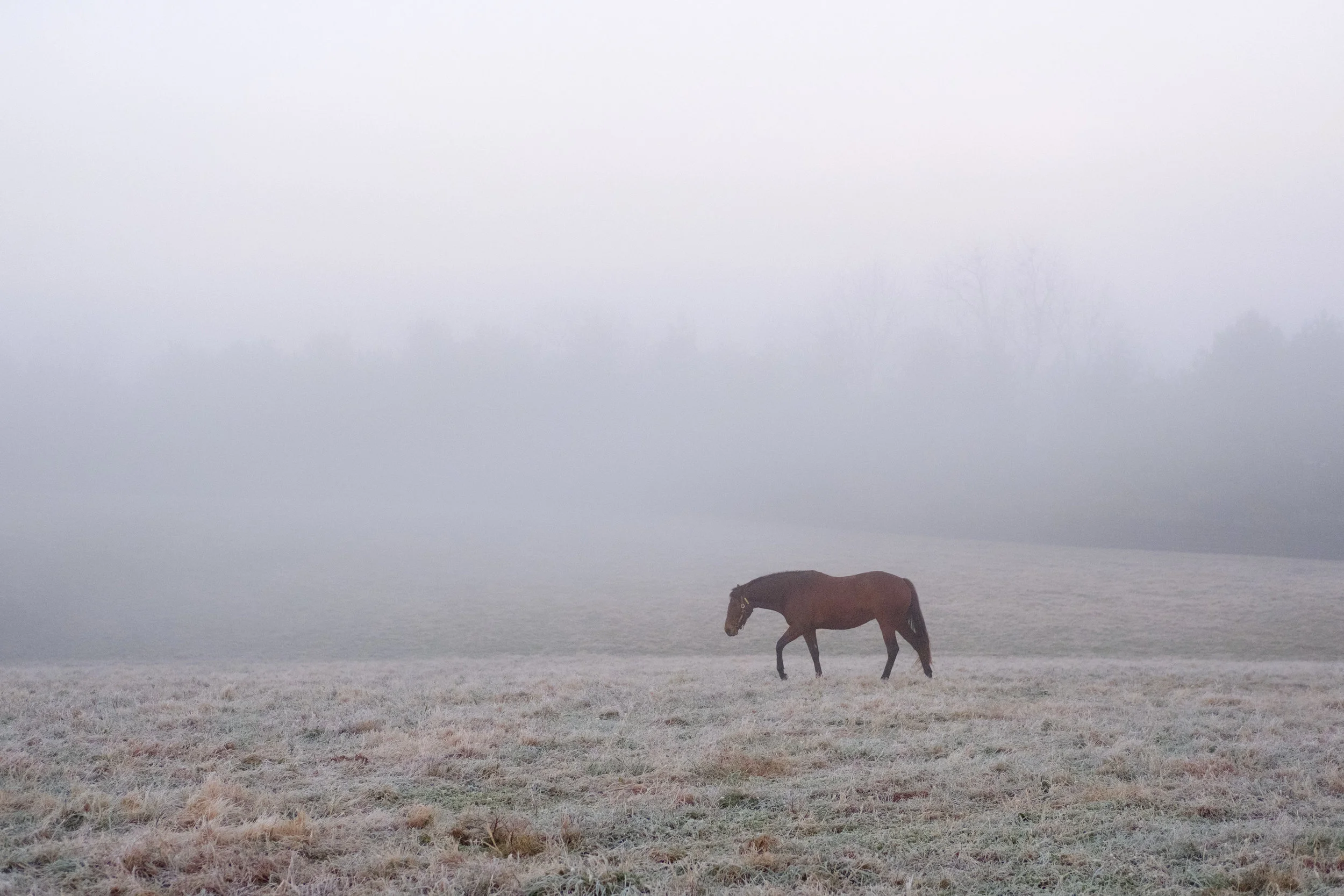 DSCF2064.jpg