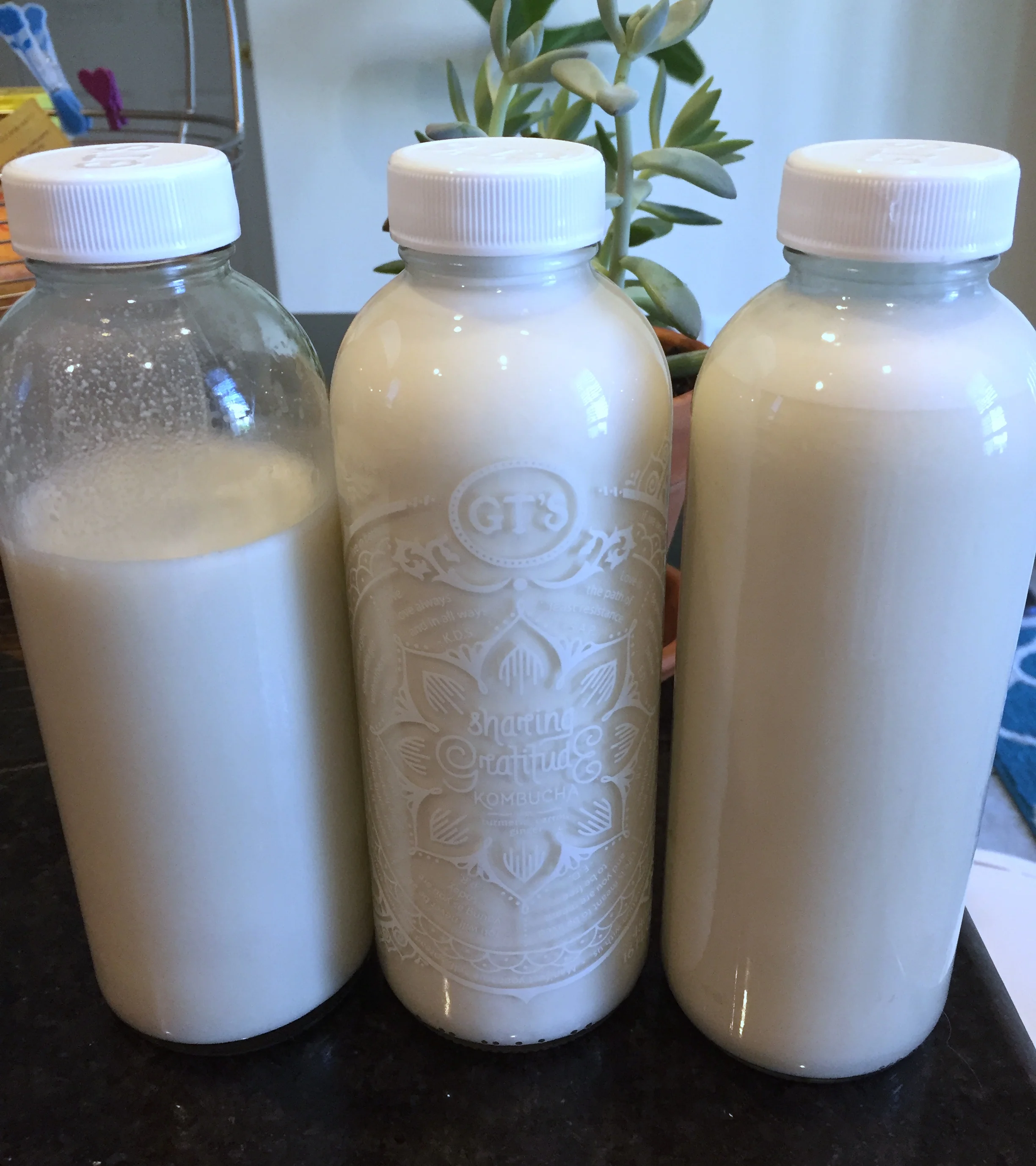 I use recycled Kombucha jars to store my cashew milk! 