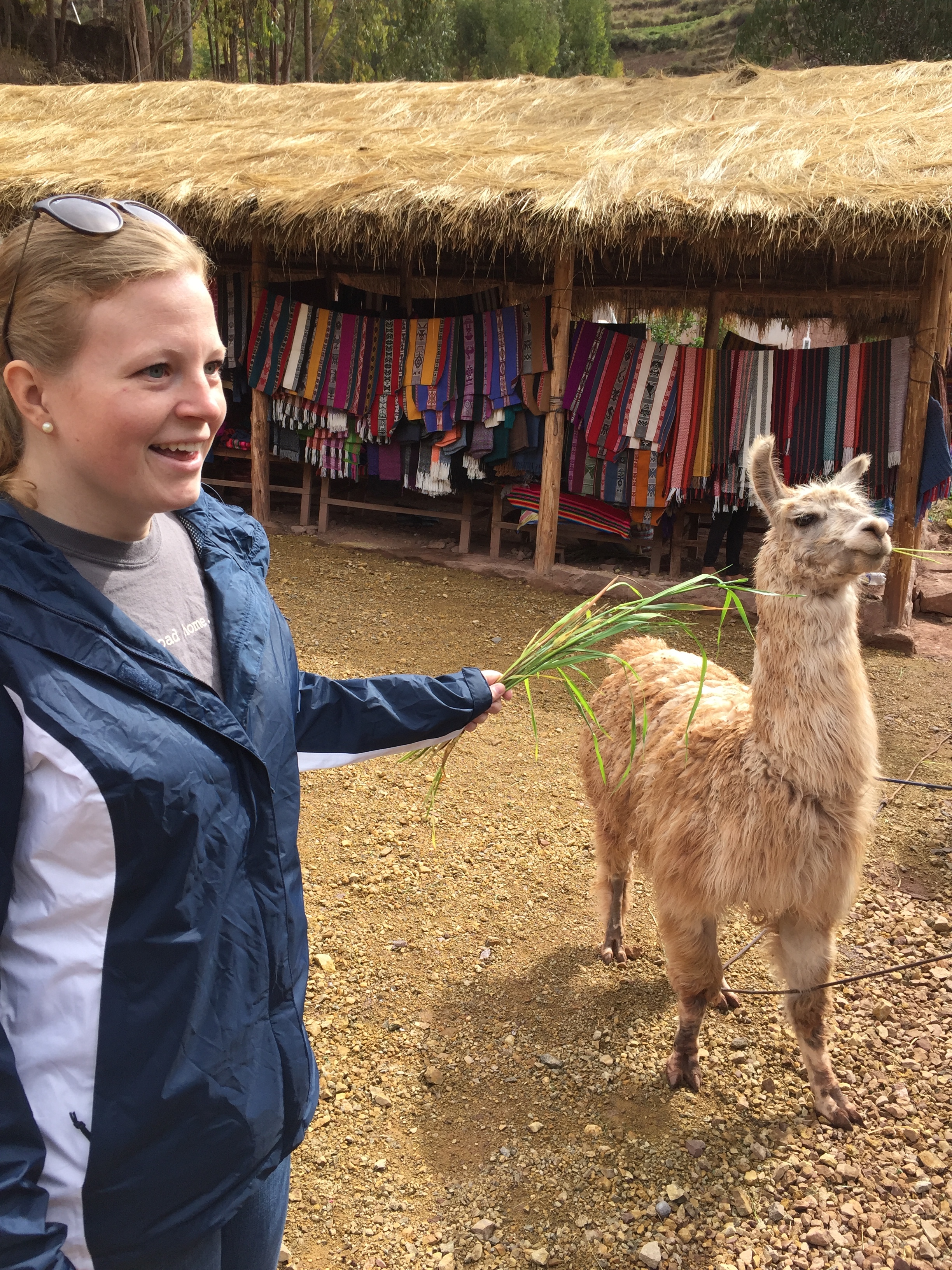 Travel makes you do weird things like: get way too close to llamas in Peru.