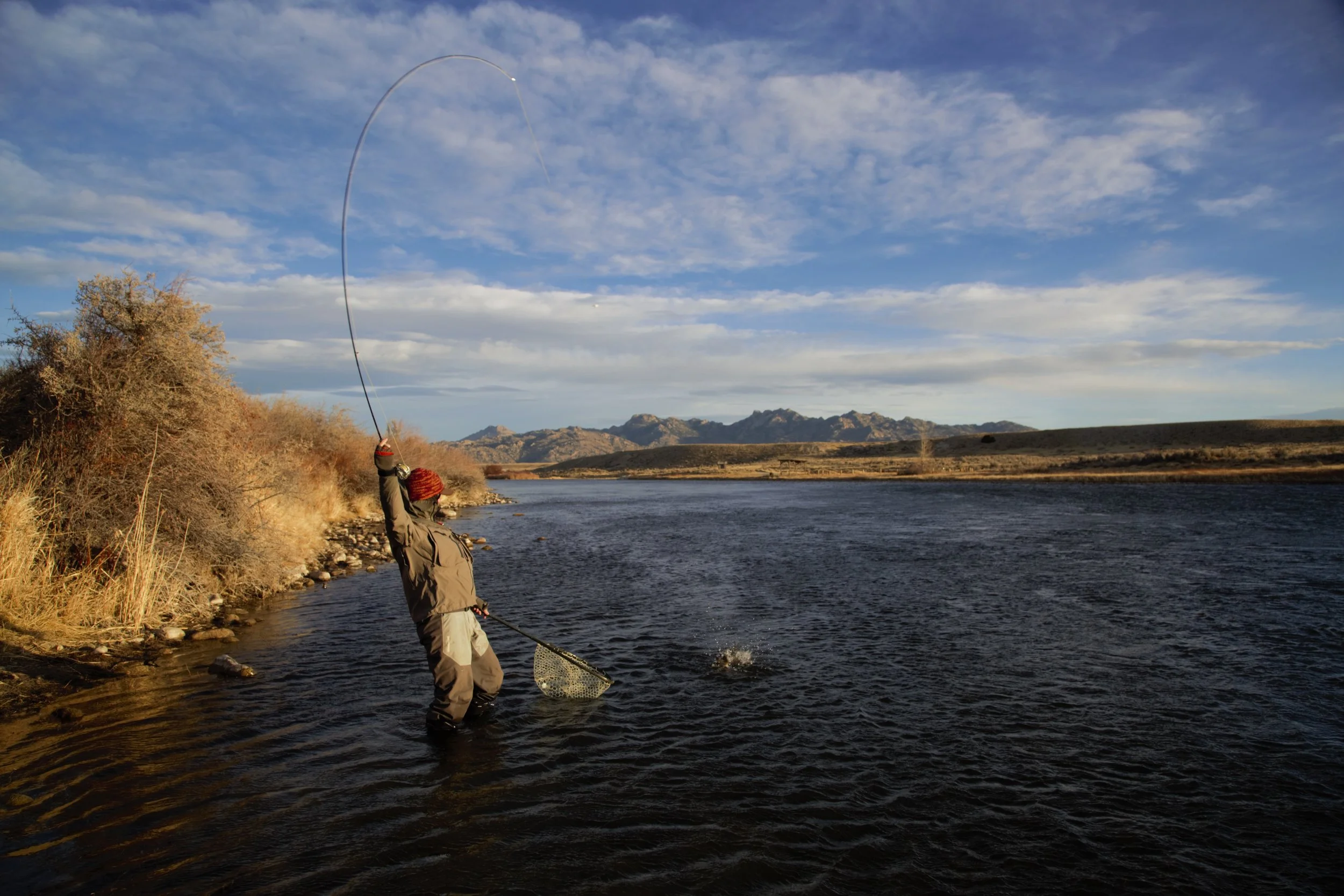 Ben netting fish.jpg