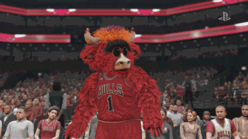 PS_017_NBA_Bulls_Mascot-2.gif