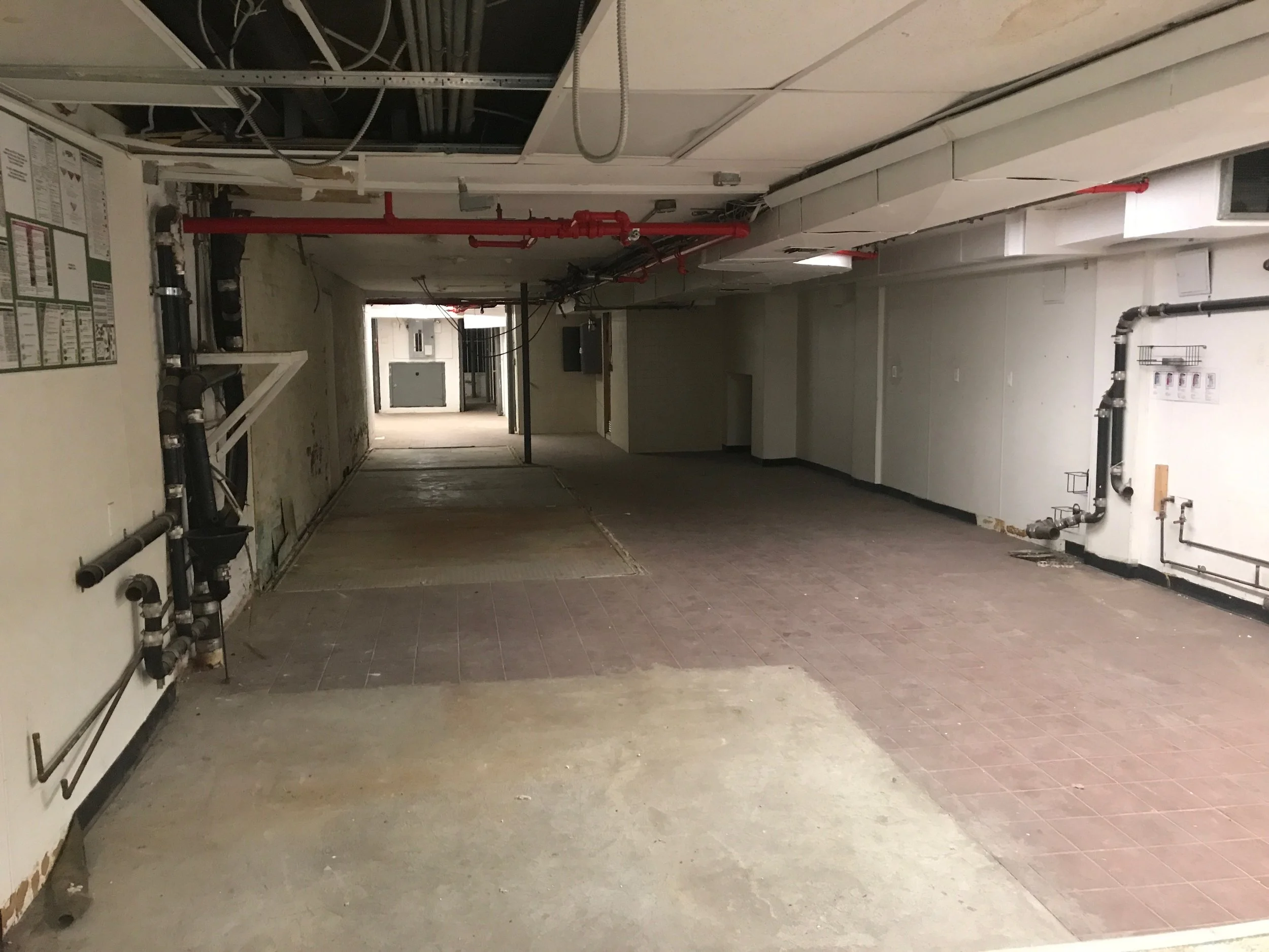 G&T basement.jpg
