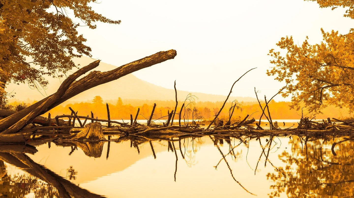 gilded haze

#nature #naturephotography #lake #view #picoftheday #fall #gold #golden #goldenhour #reflection