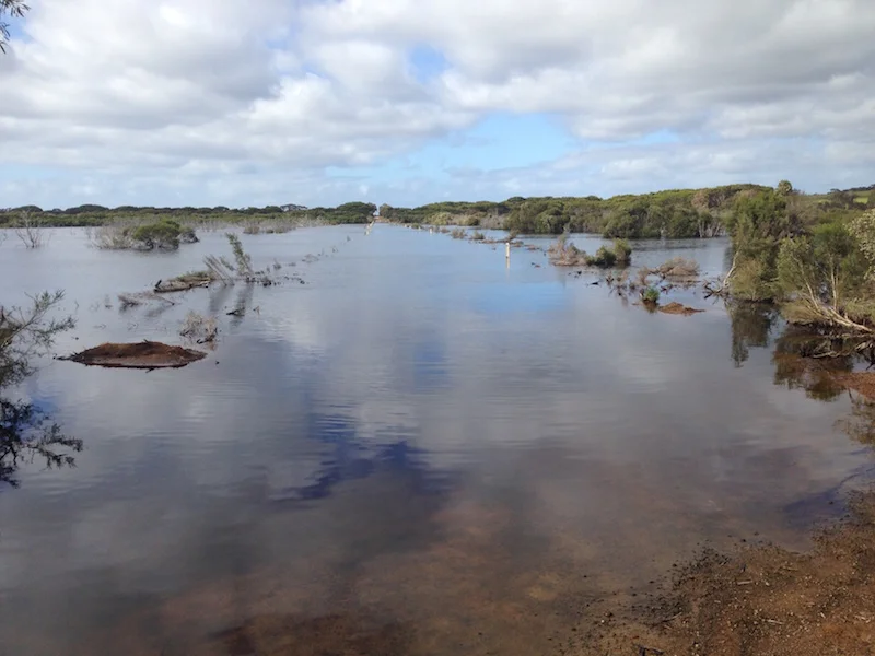 Assessment and reporting of minimum floor levels and other appropriate requirements for developments within a floodplain