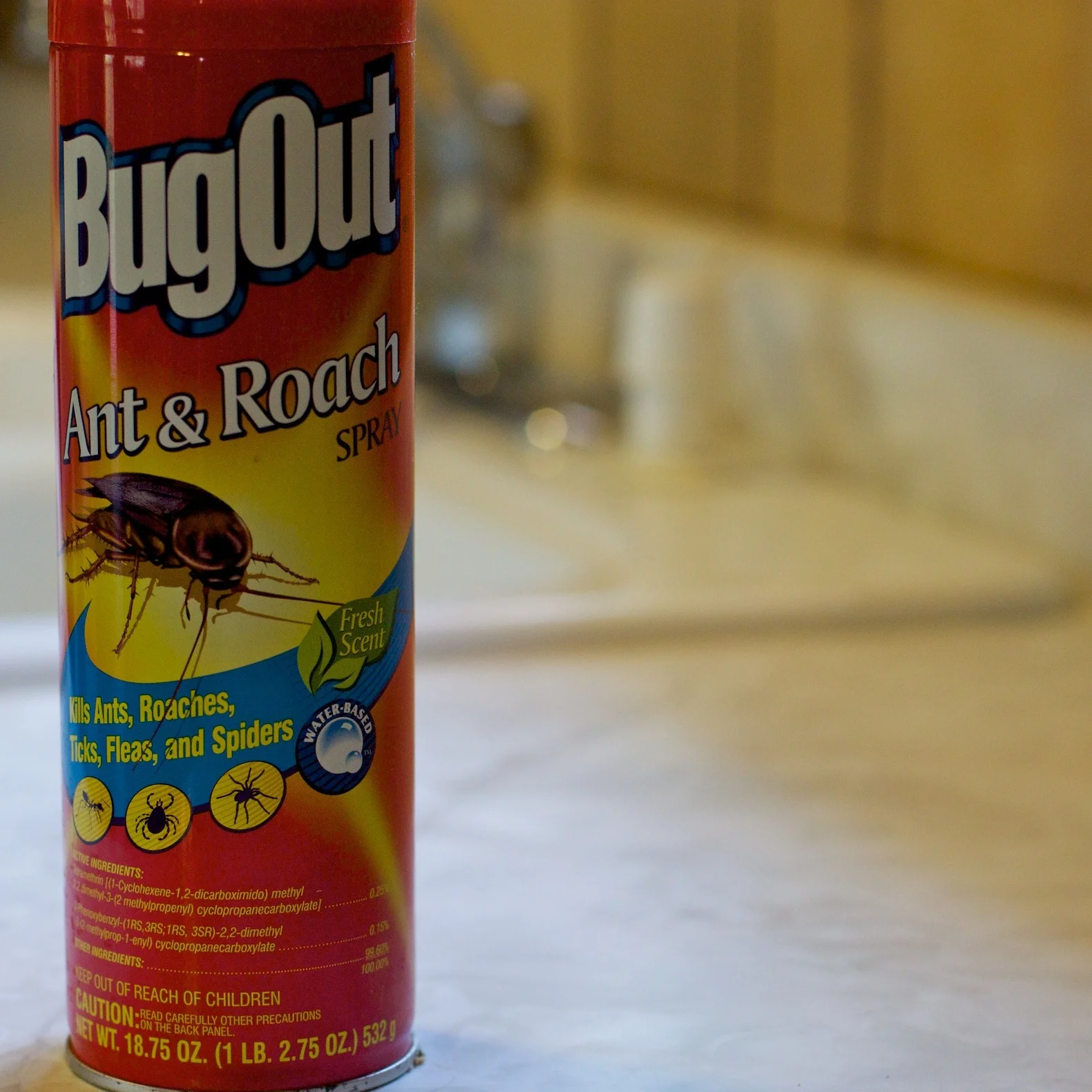 Small leaks in your plumbing will attract insects. But, not everyone is a fan of pesticides.
