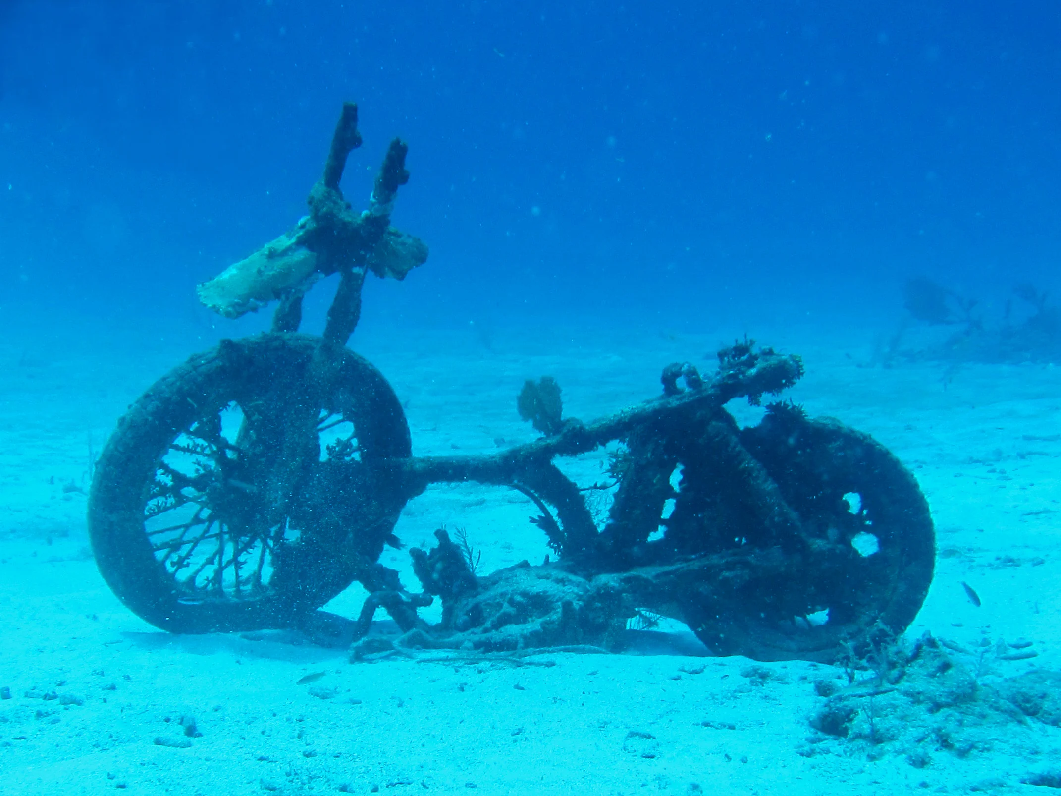 Akumal, Mexico