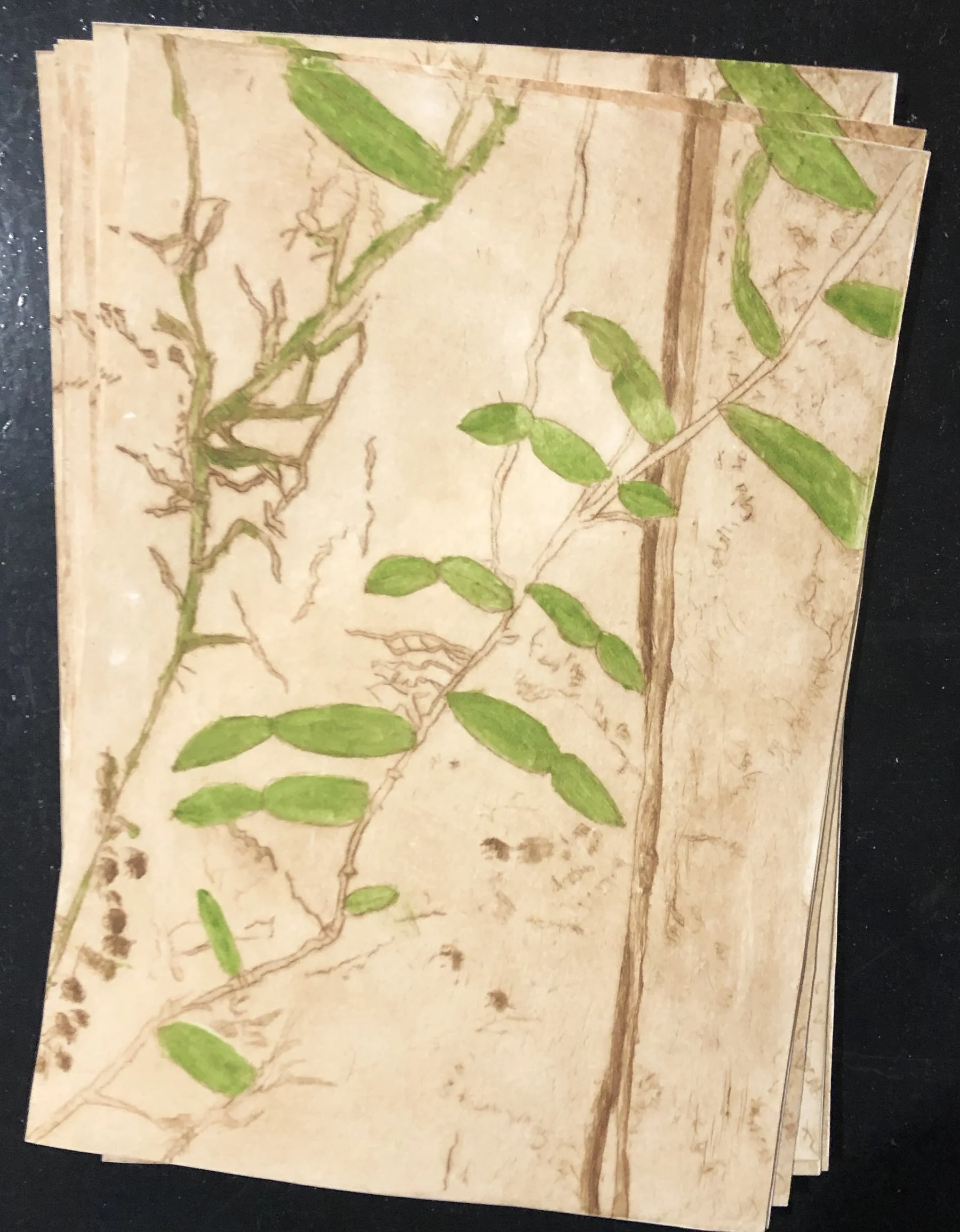 hand coloured dry point etching