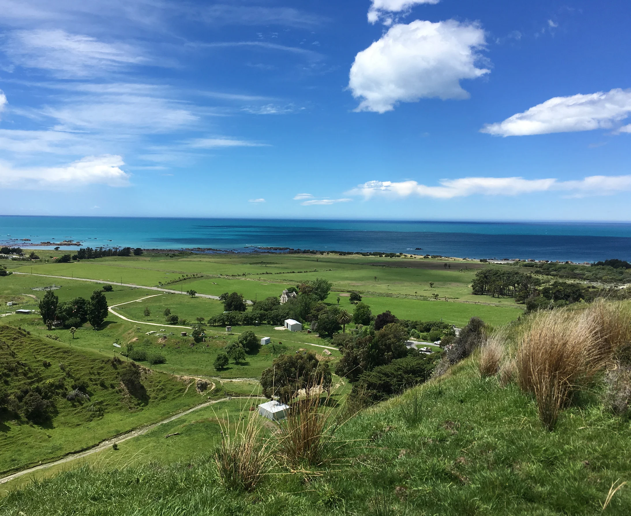 The aftermath: a first-person report