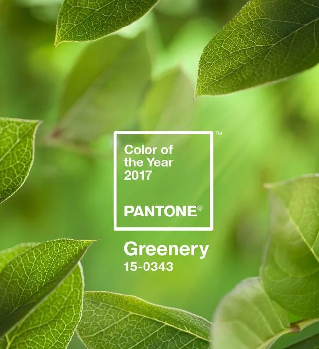 Pantone Colour Institute "Colour of the Year"