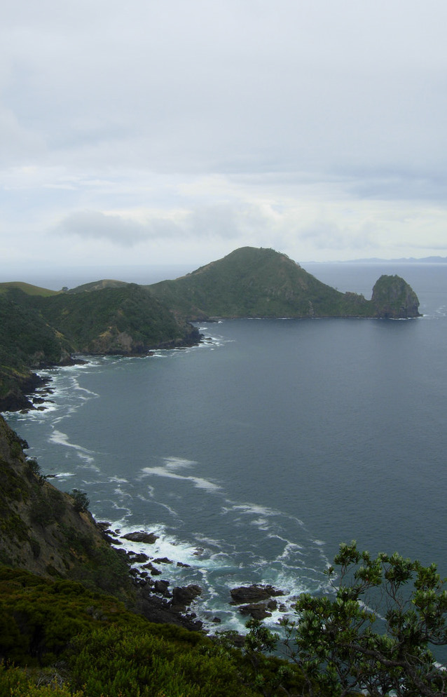 Port Jackson is at the northern tip of the Coromandel Peninsula. 