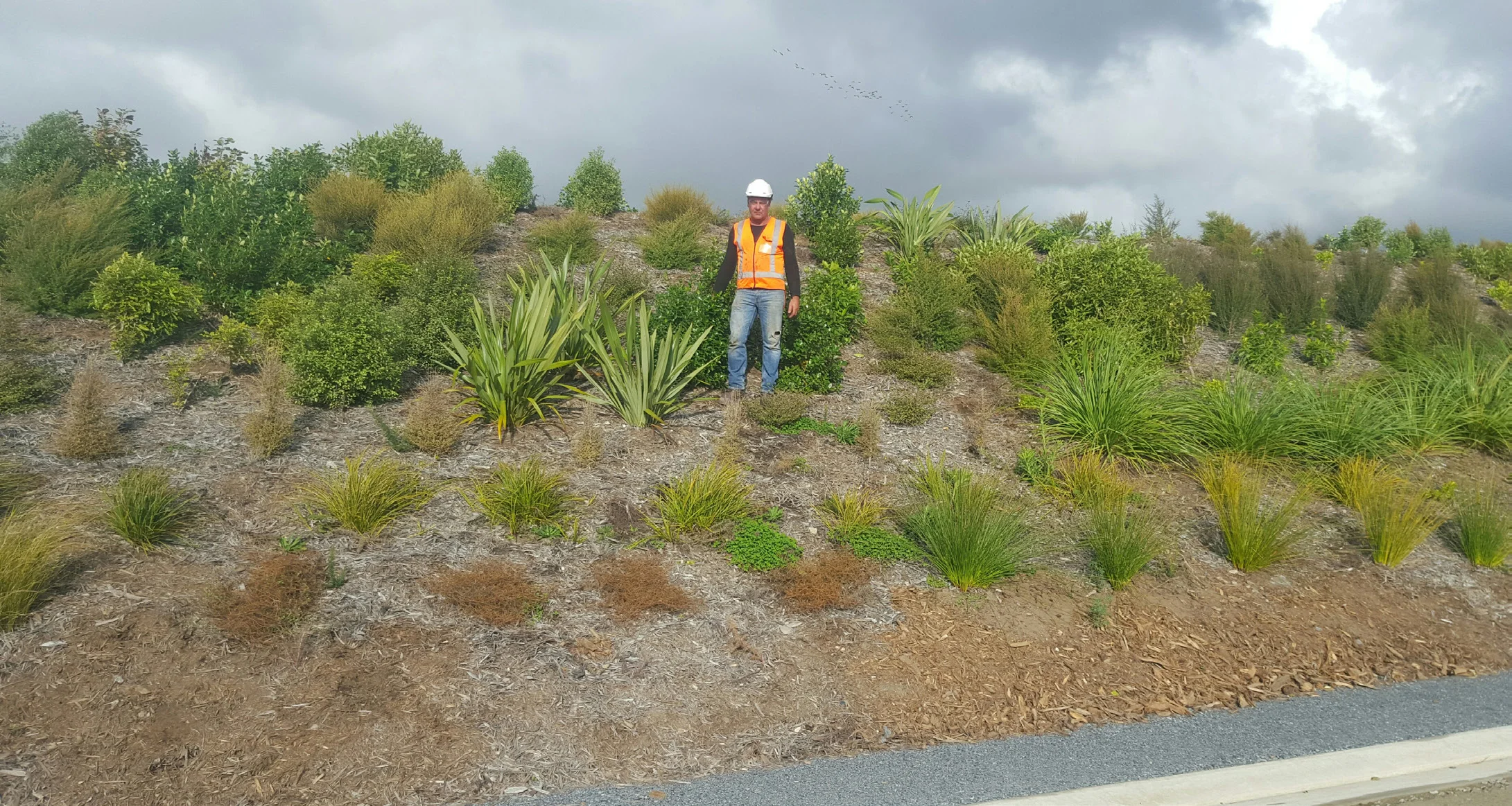 Growing green. Eco-sourcing for optimal results