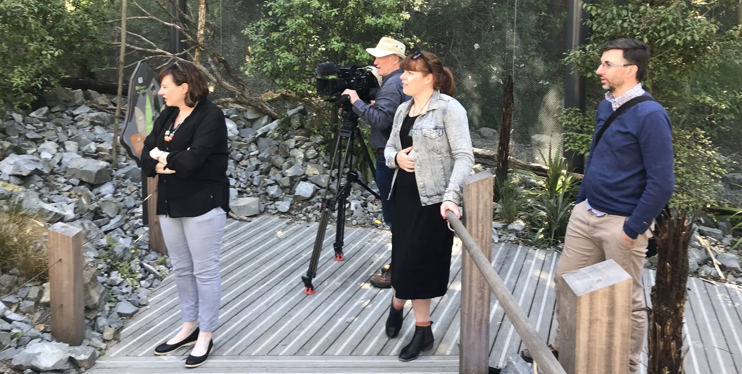 Meet the locals - at Wellington Zoo's award winning love story to Aotearoa