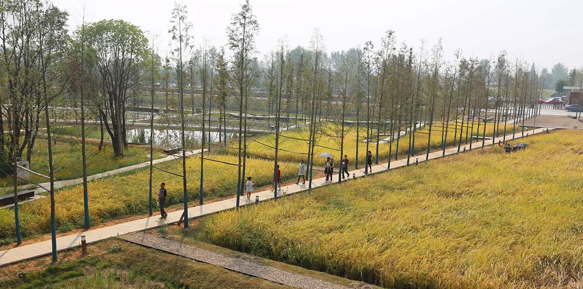 The Chengtoushan Archeological Park - winner of the Landscape of the Year 2017 at the World Architecture Festival in Berlin.