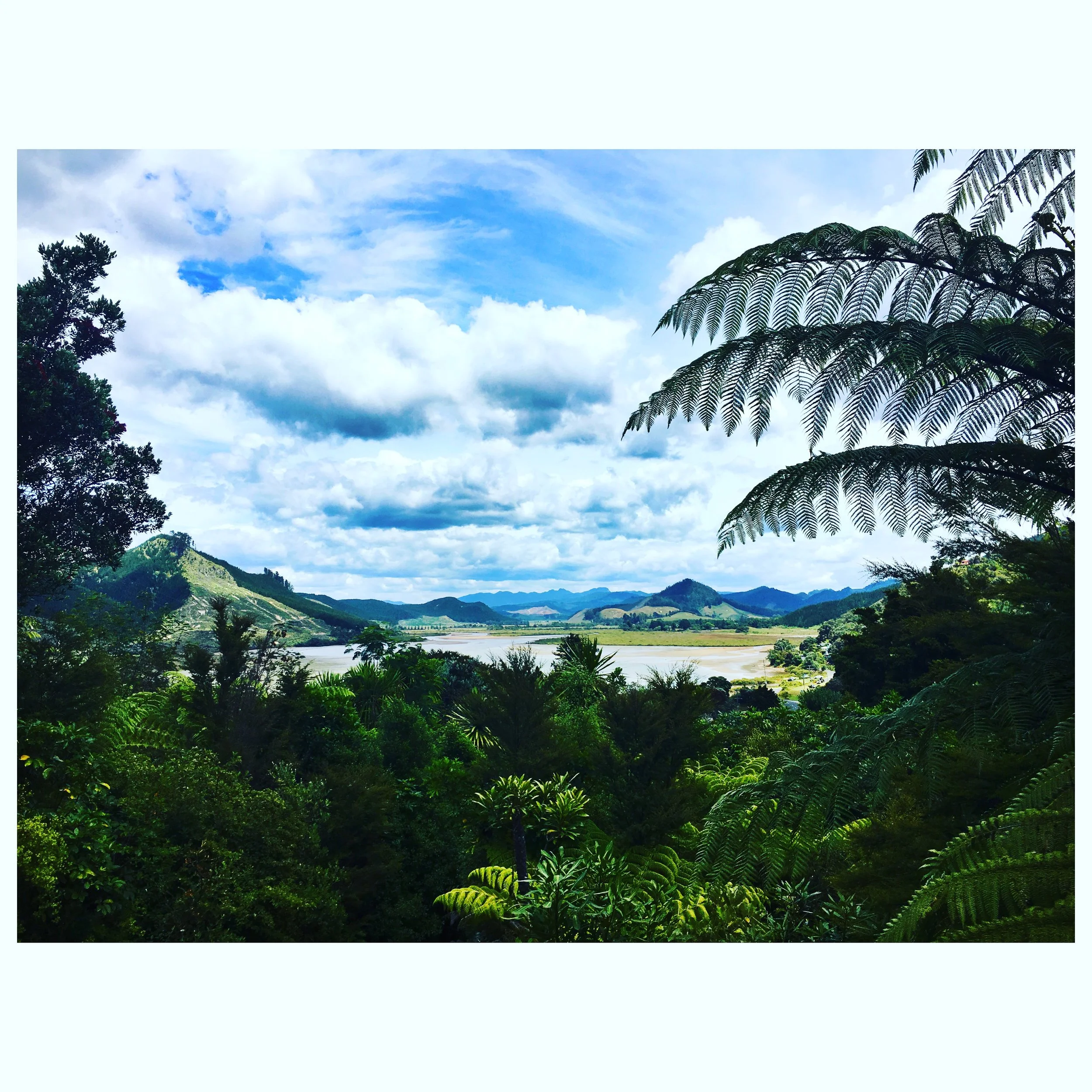 Opoutere on the Coromandel Peninsula