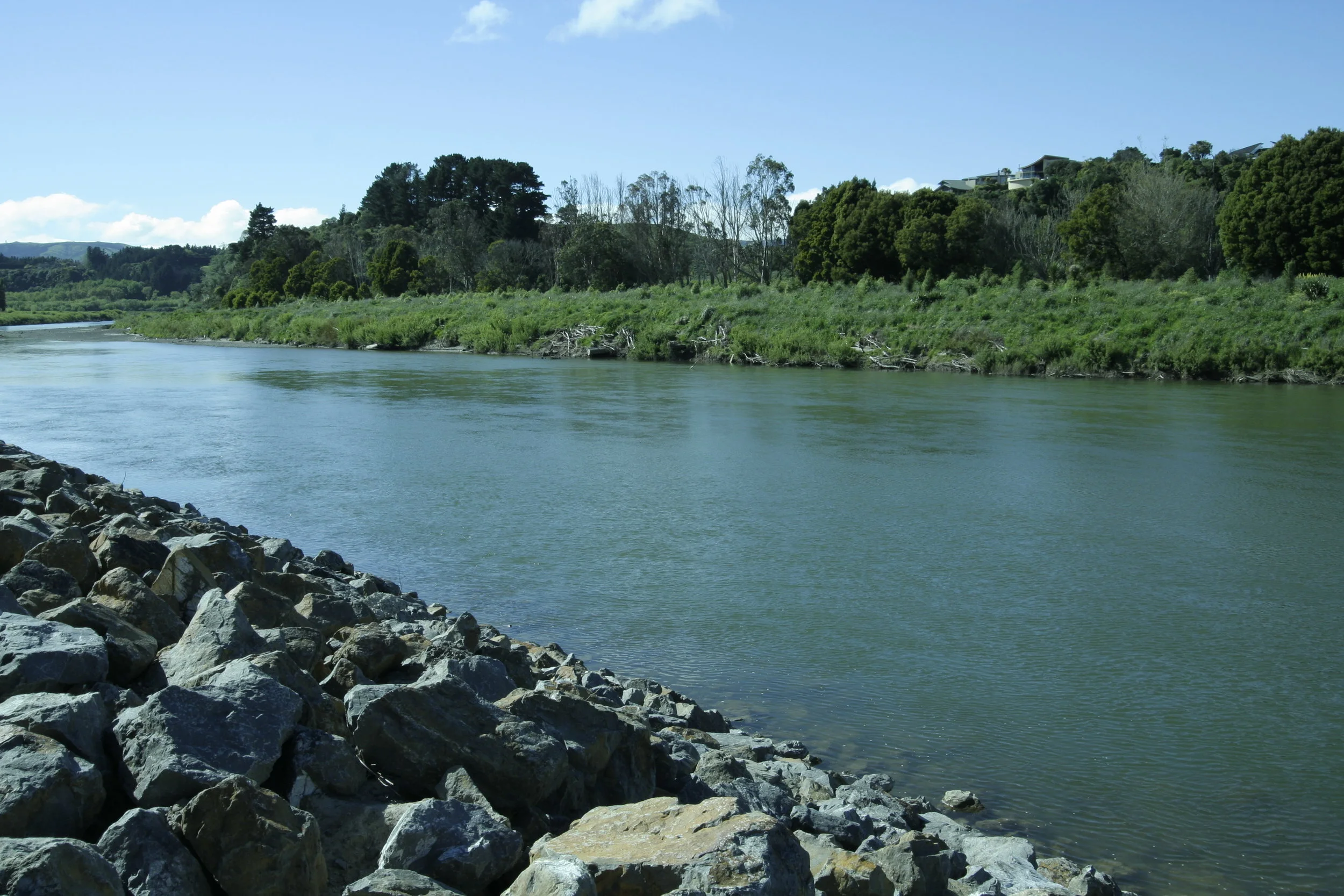 Restoring the Manawatu River's mana