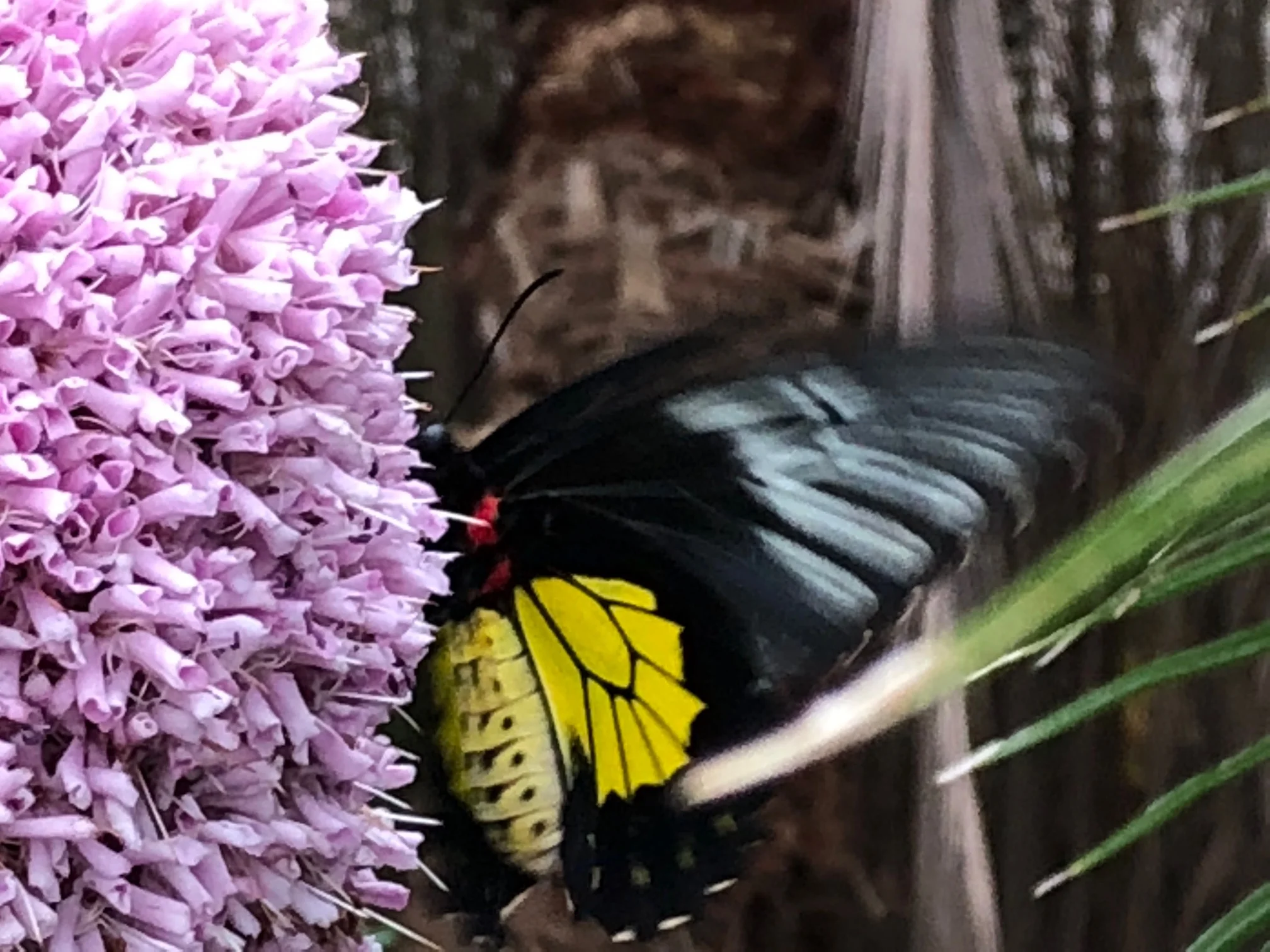 Back to nature - for the good of your health