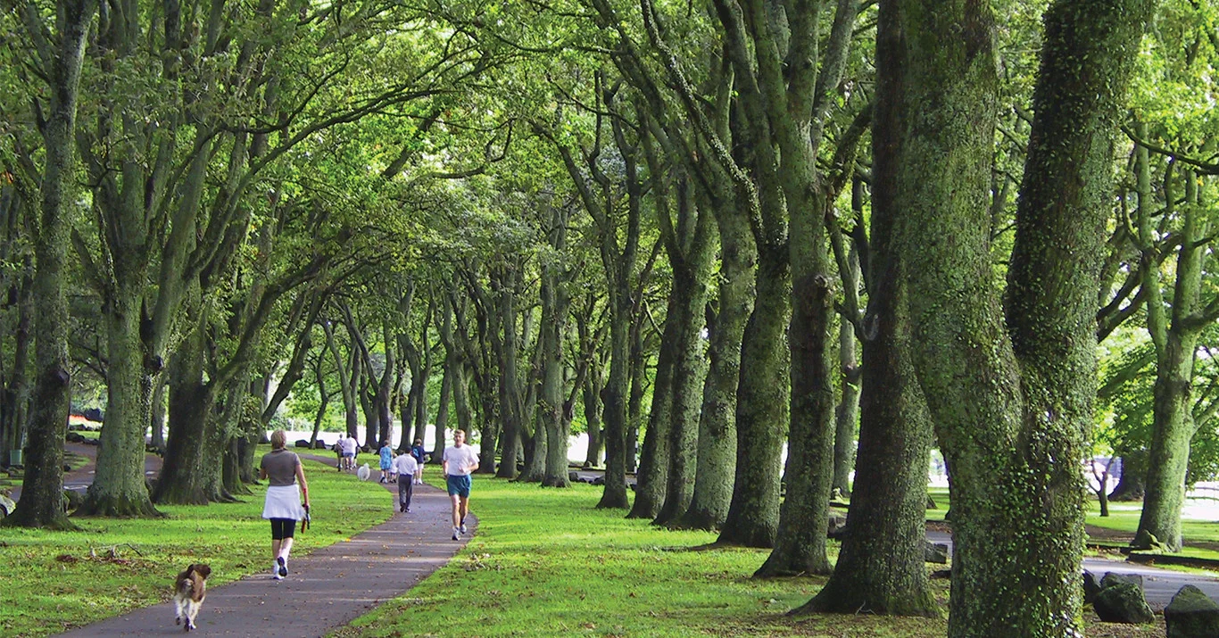 The award winning plan for one of Auckland's most loved public spaces