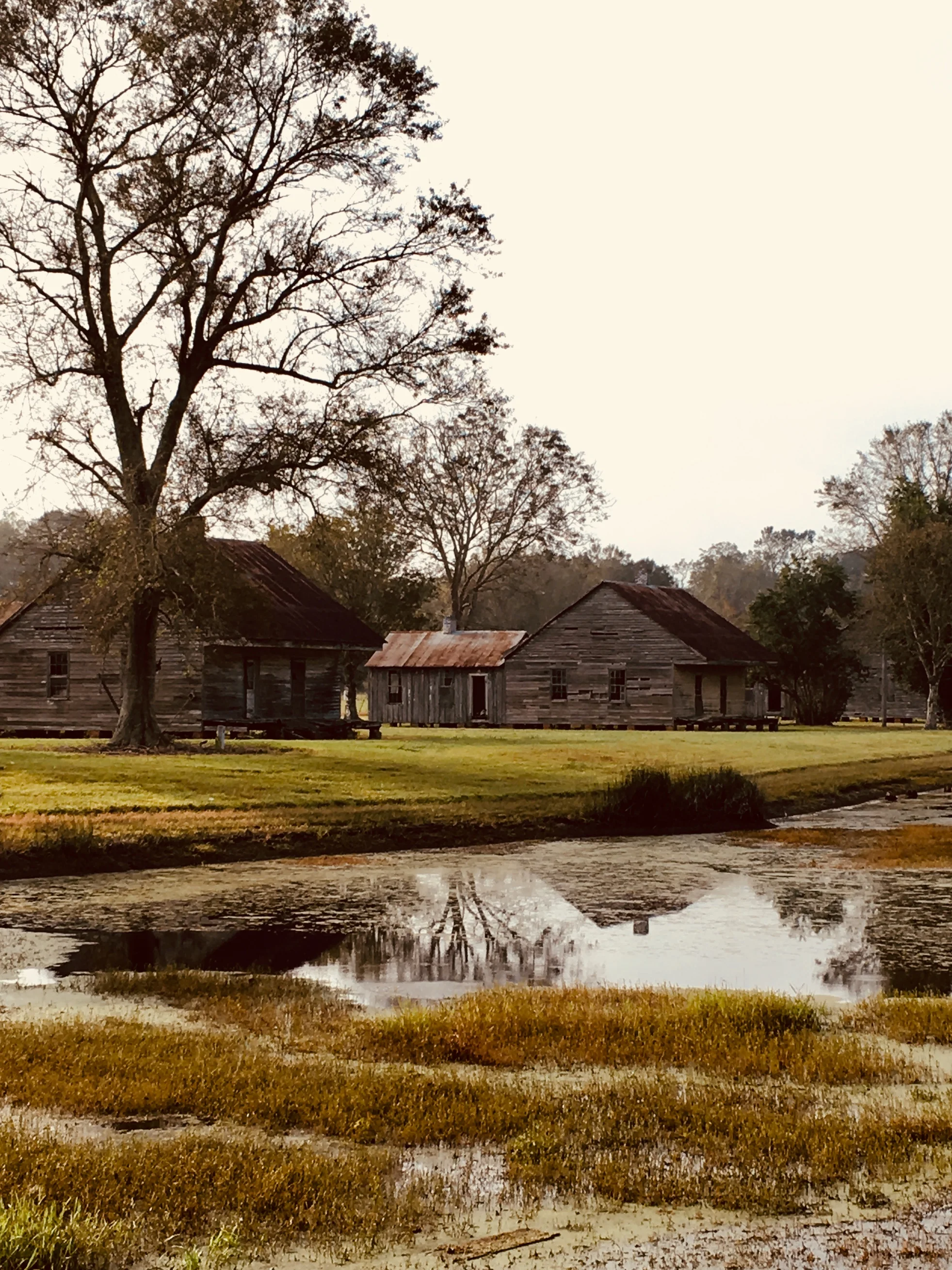 Slave huts, sugar cane and the Landscapes of Misery