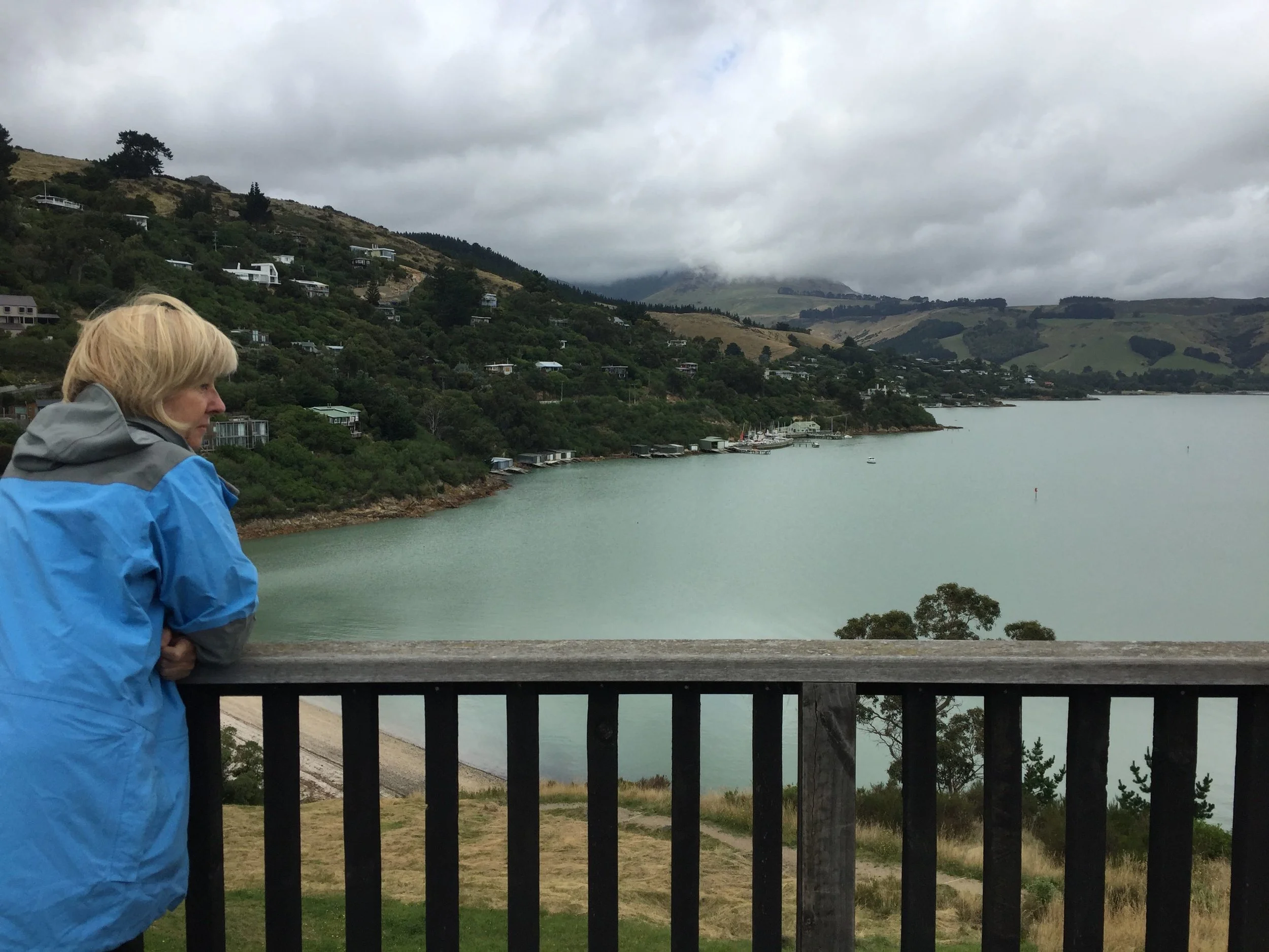 Gill Lawson looking across Charteris Bay towards Lyttelton.