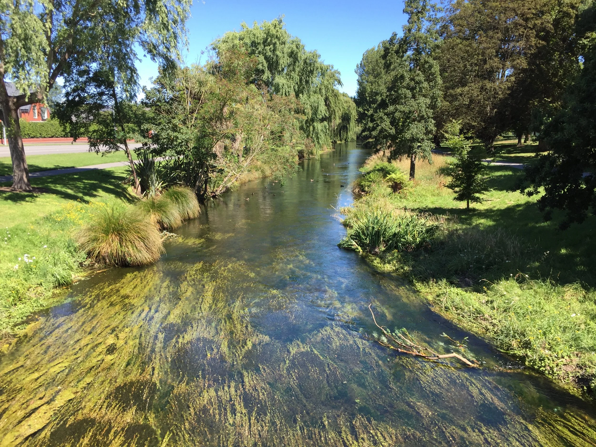 Gill Lawson says the apparently crystal clear conditions of waterways like the Avon River pictured here in Christchurch can mask the hazards of quality and liquefaction in New Zealand.