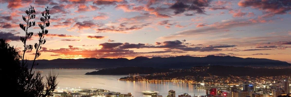 2018 NZILA Firth Conference 