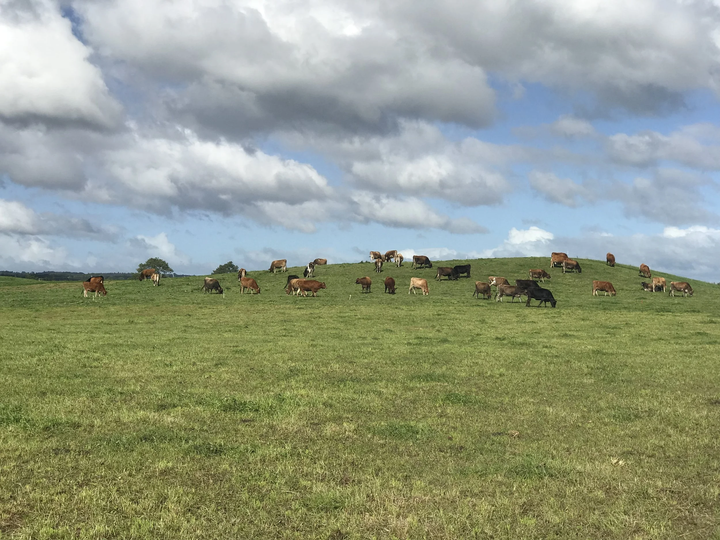 How landscape architects are helping farmers with sustainability