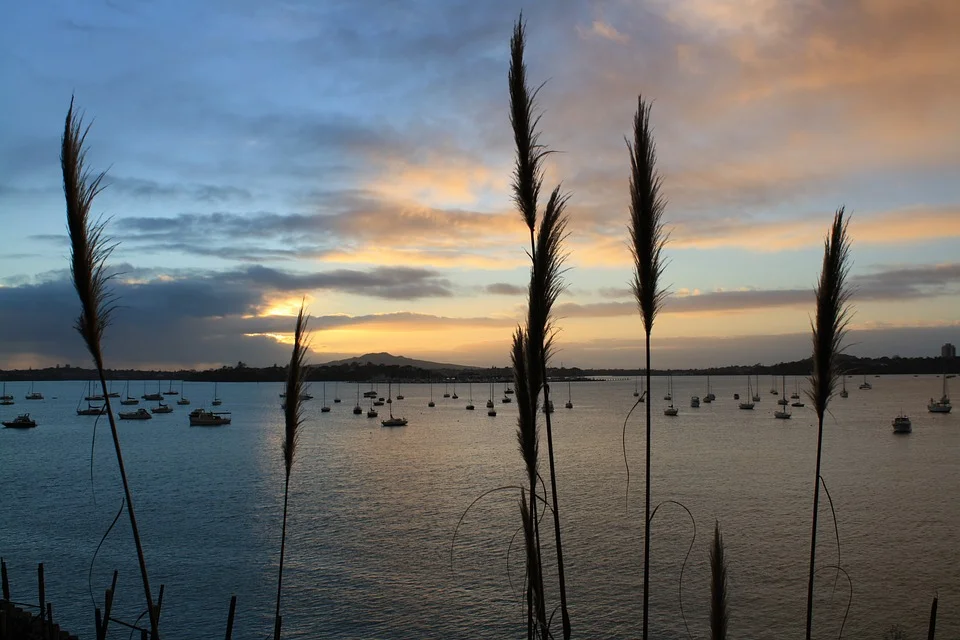 Ludo Campbell Reid says landscape architects are crucial for the future of Auckland.