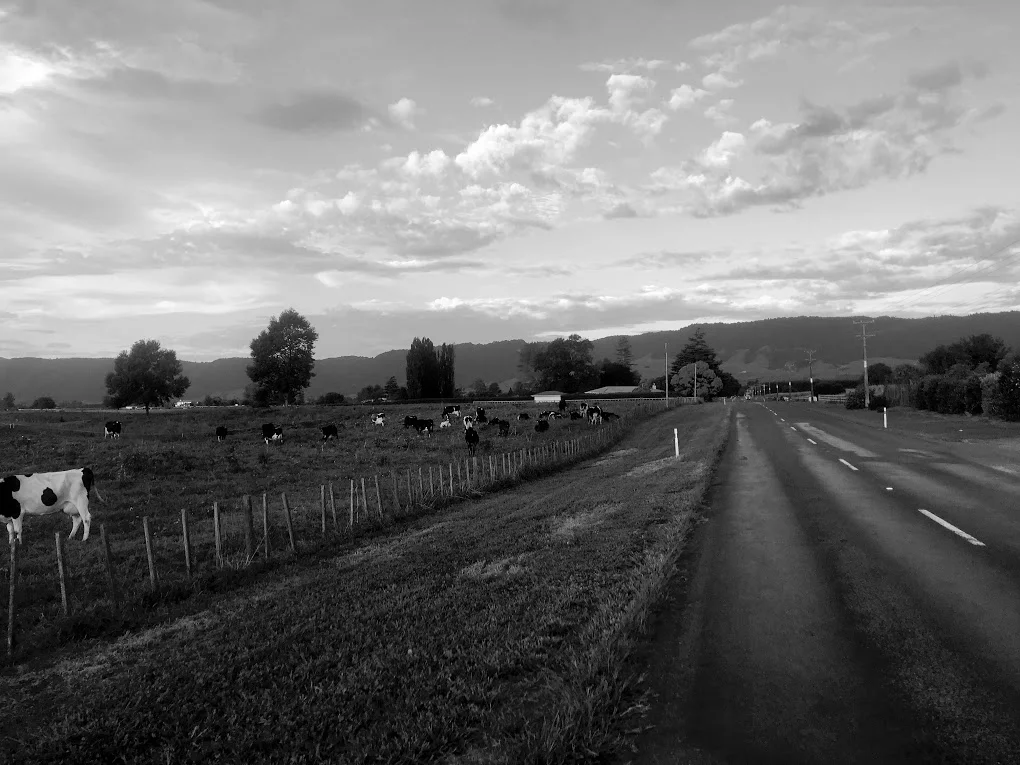 Johns is planning to cycle the South Island in 2020.