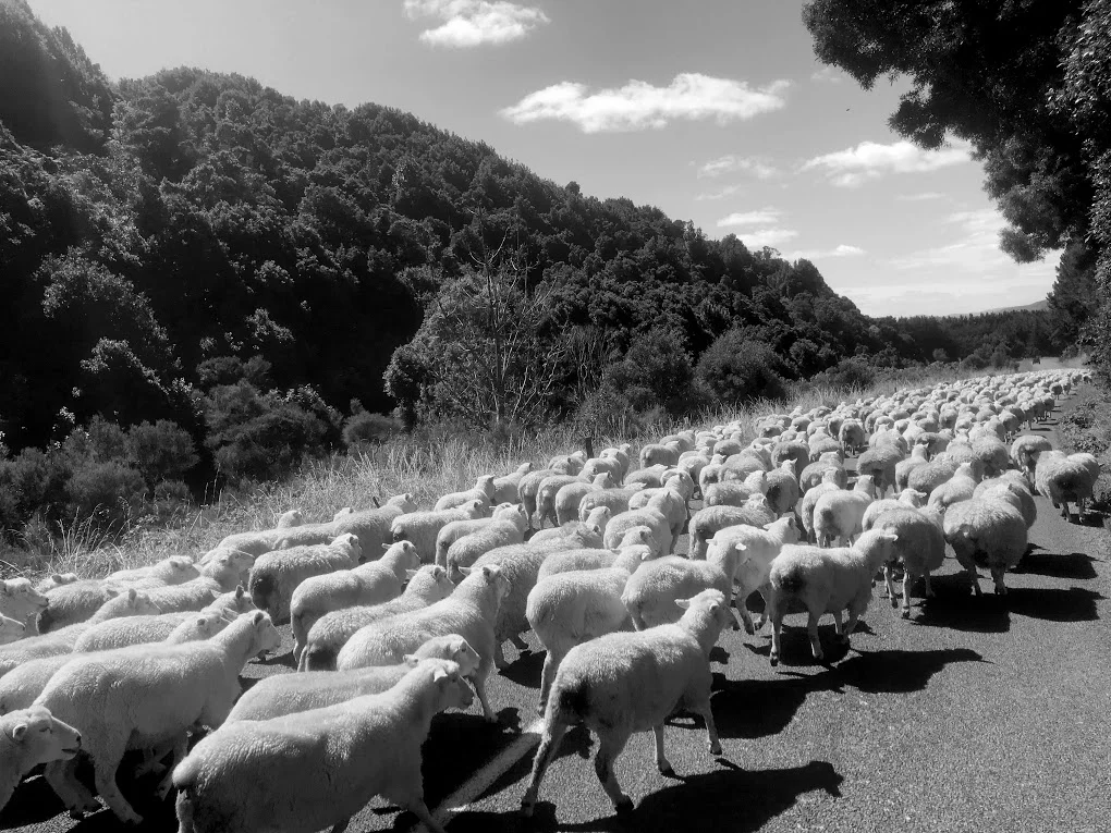 Johns now has concern about some of our rural communities. 