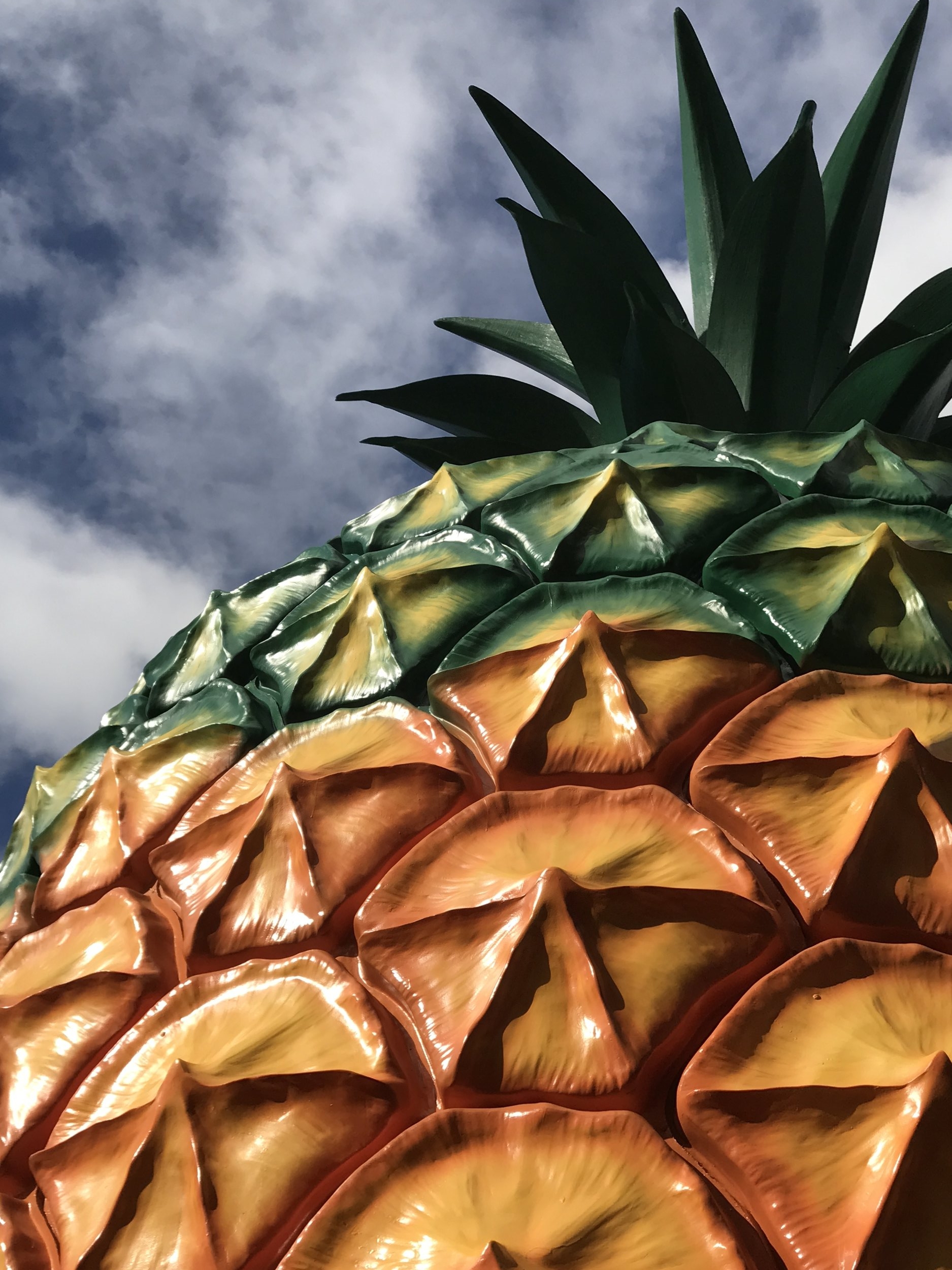 The Big Pineapple by Vicky Pattison of Art of Crazy. &nbsp;&nbsp; Judges thought the “Big Pineapple” demonstrated “an impressively artistic and authentic use of colour on a local icon.”
