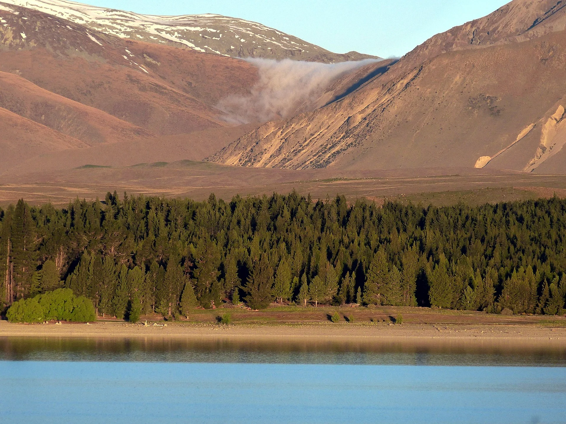 Di Lucas would like to see the NZILA take a lead in the Billion Tree project.