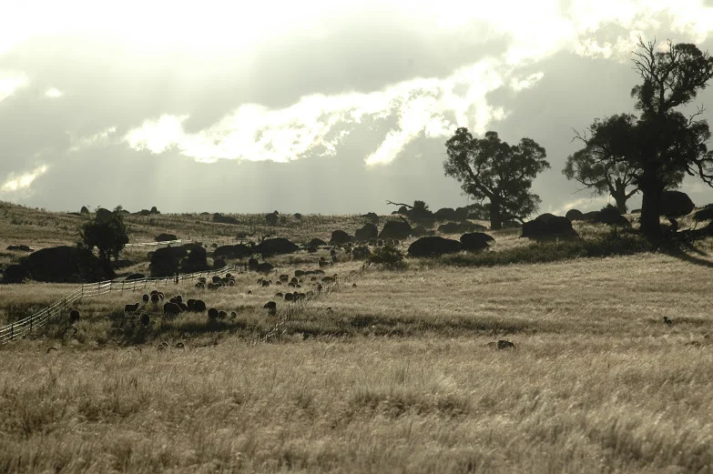 Getting set for the International Festival of Landscape Architecture