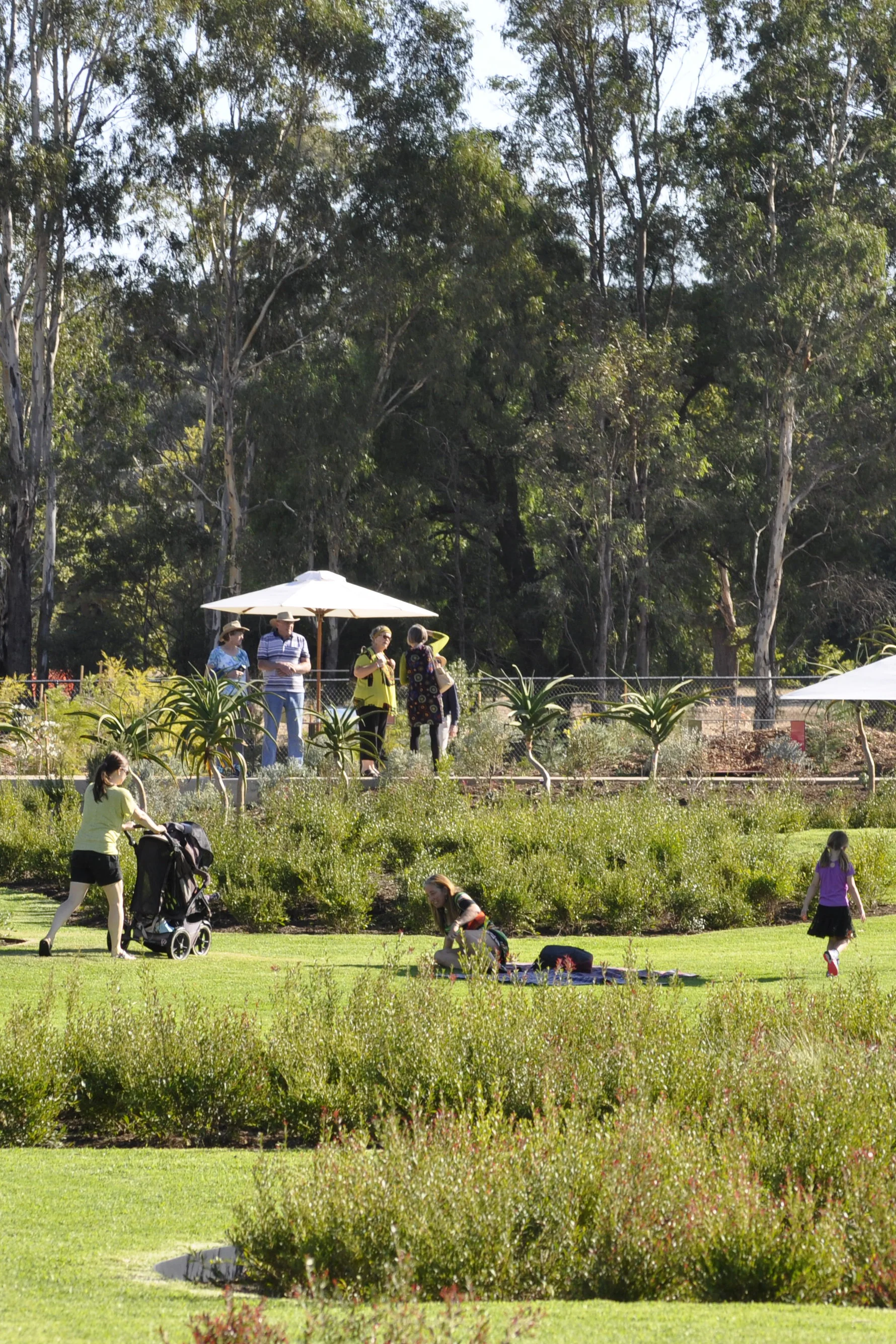 The Bendigo Garden for the Future won't reach maturity for up to 40 years. 