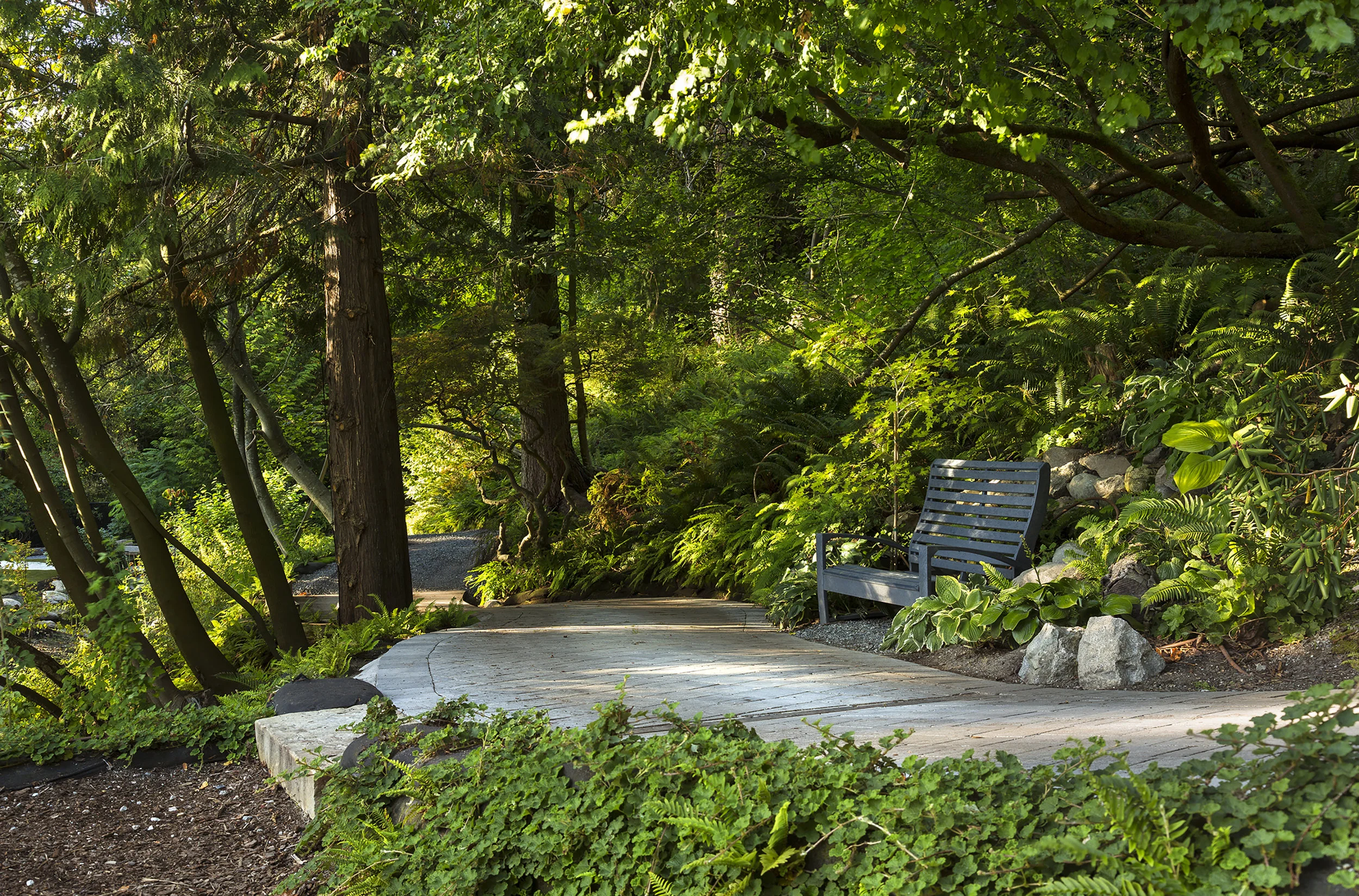 Pacific Northwest planting has been used around the perimeter. Photo credit - Ed White.